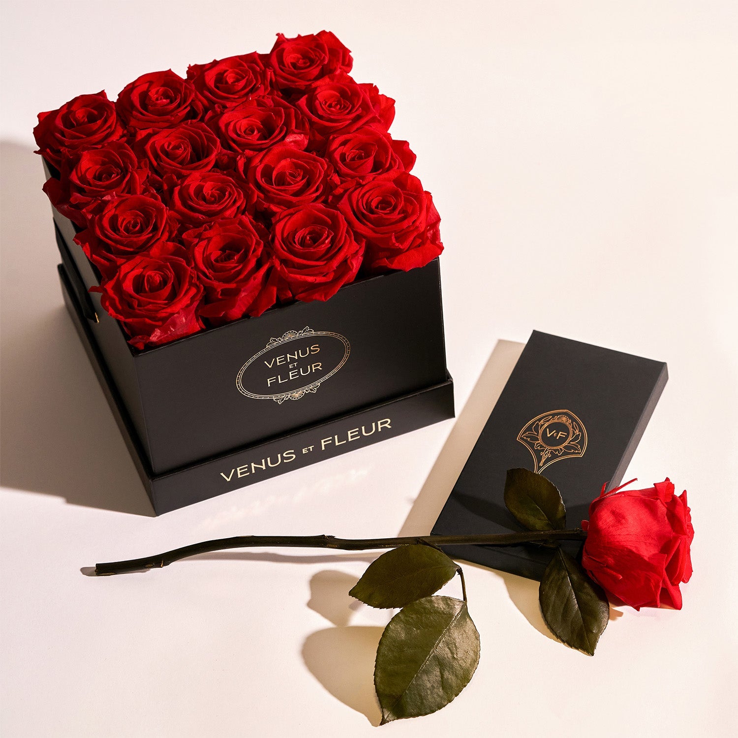 chocolate3432.jpg