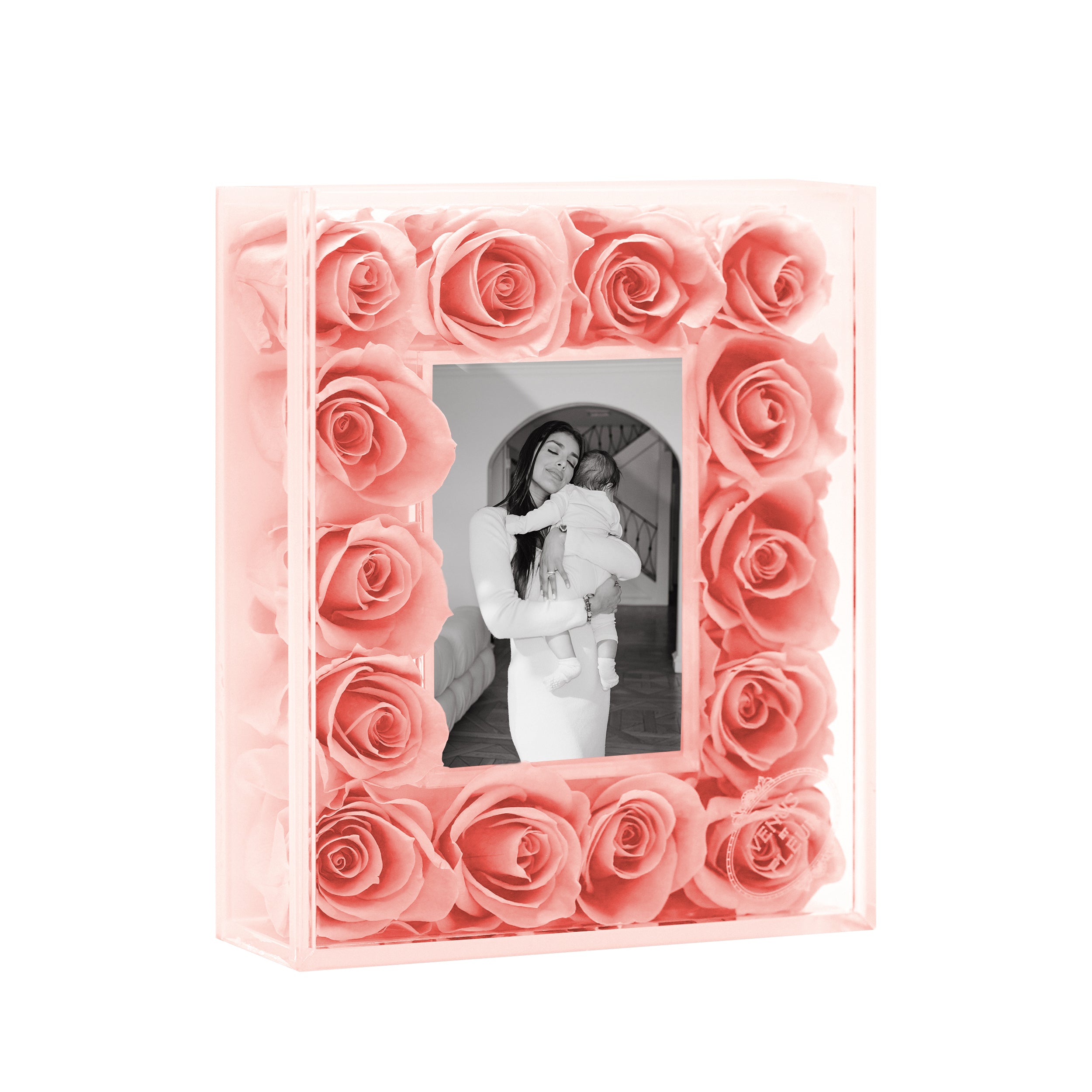 conchpink_3.jpg