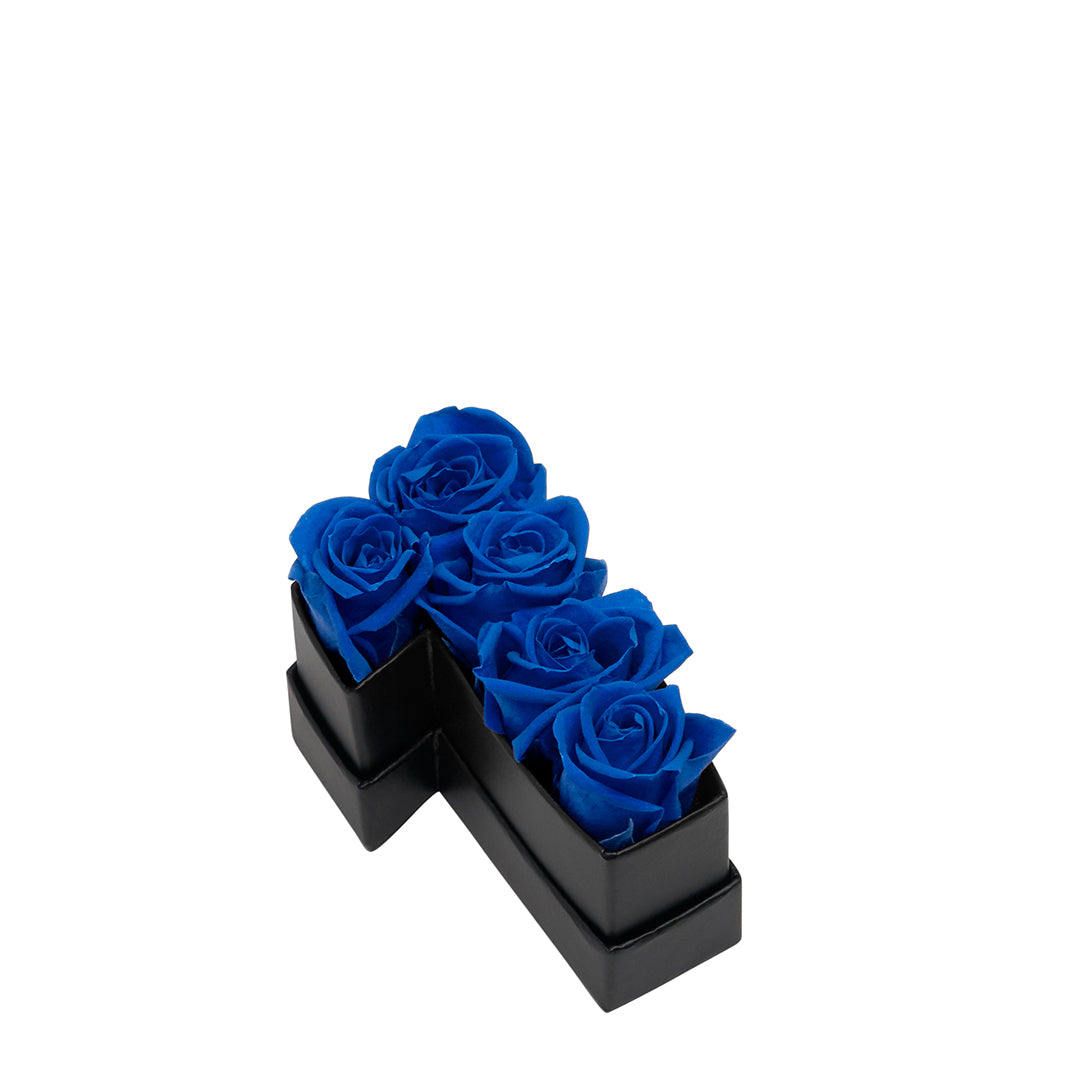 deepblue_958f355c-98e5-4945-b7d3-3b3f2589e481.jpg