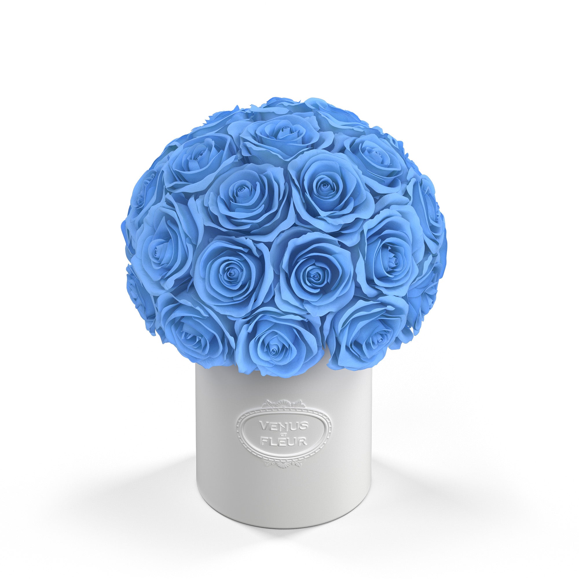 fleura-porcelain-roses-babyblue-1.jpg