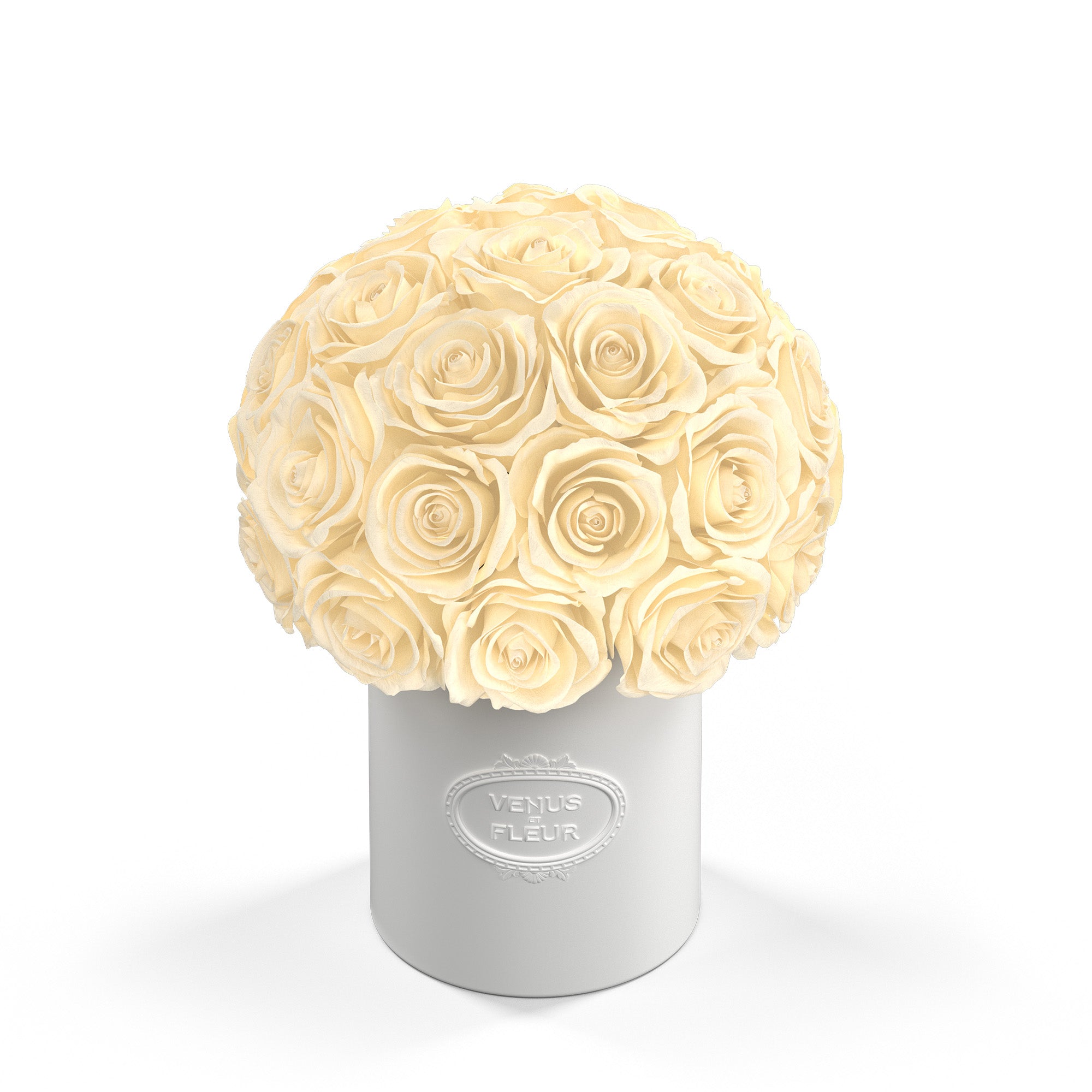 fleura-porcelain-roses-pearl-1.jpg