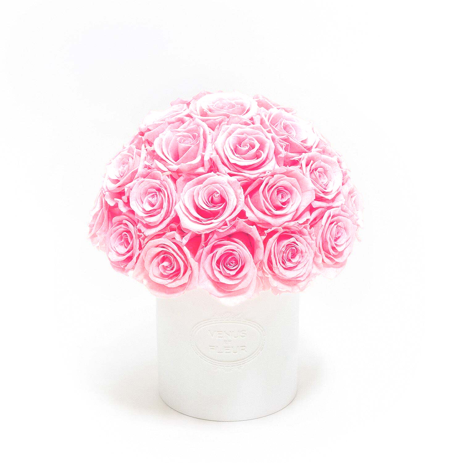 fleura_balletpink-1.jpg