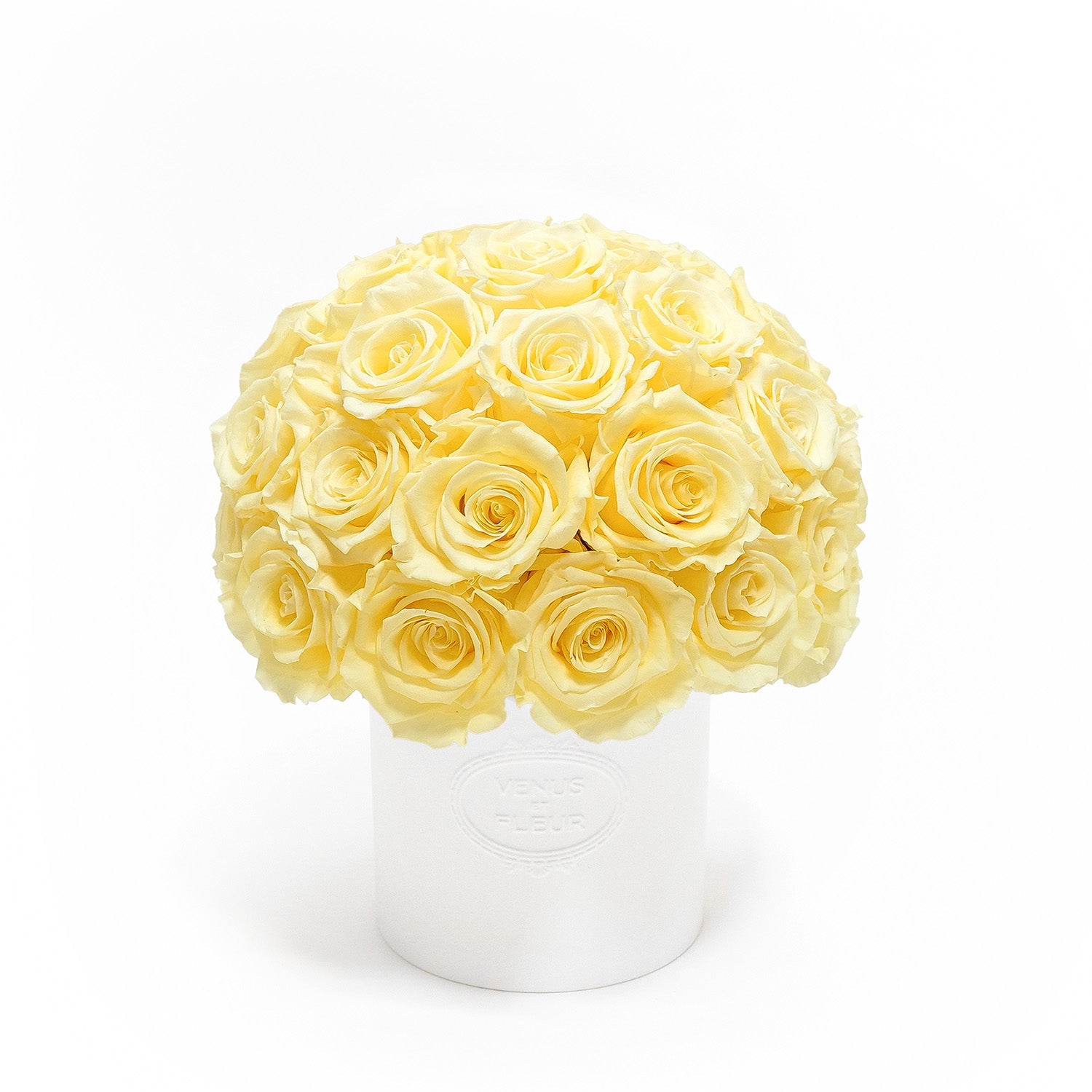 fleura_buttermilk-2.jpg