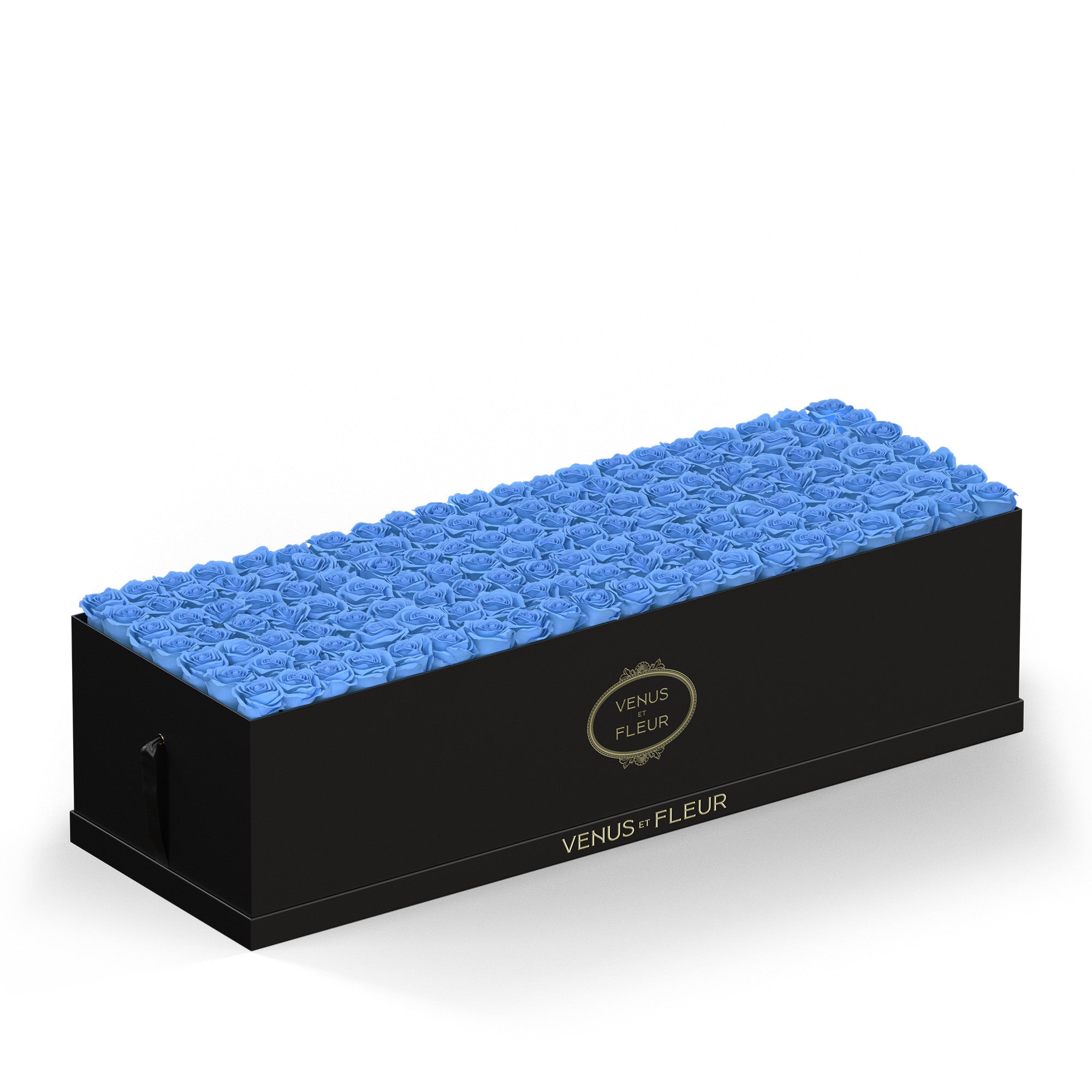 grandiosedevenus-blackclassic-roses-babyblue.jpg