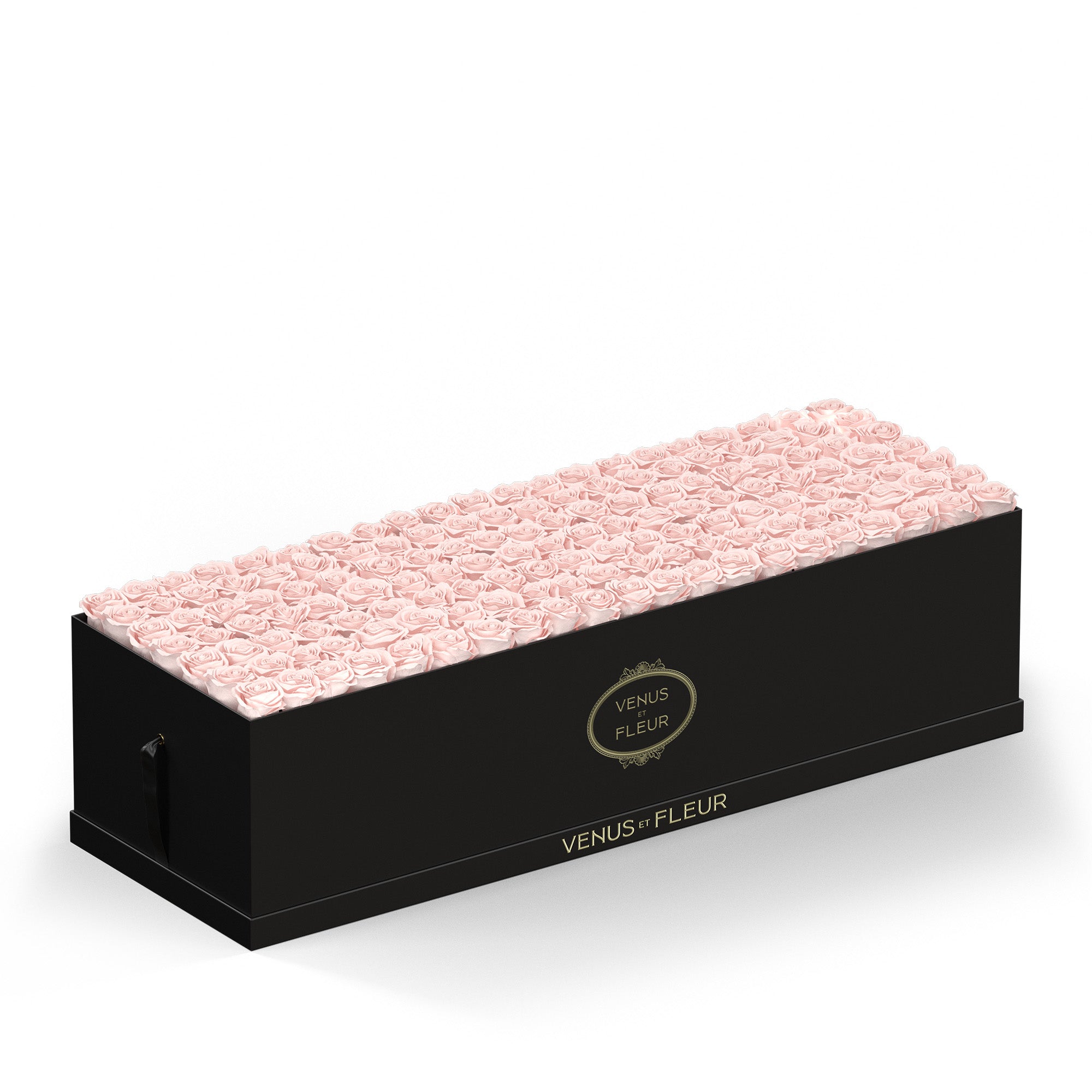 grandiosedevenus-blackclassic-roses-blush.jpg