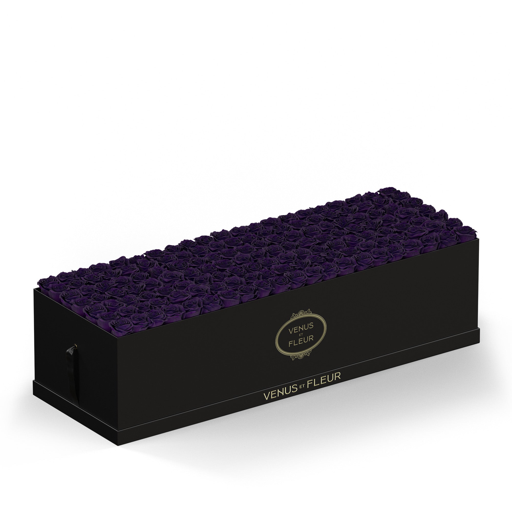 grandiosedevenus-blackclassic-roses-deeppurple.jpg