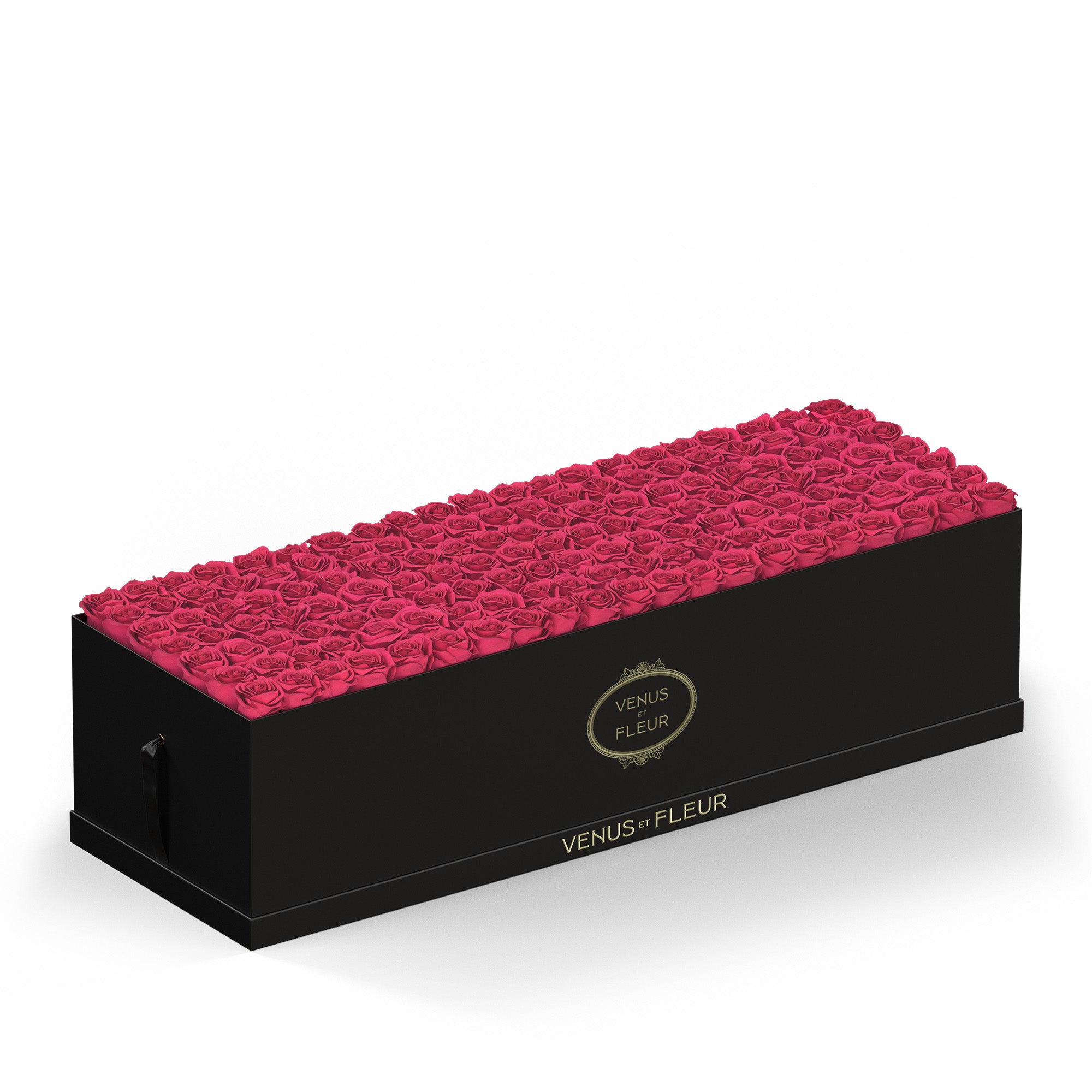 grandiosedevenus-blackclassic-roses-hotpink.jpg