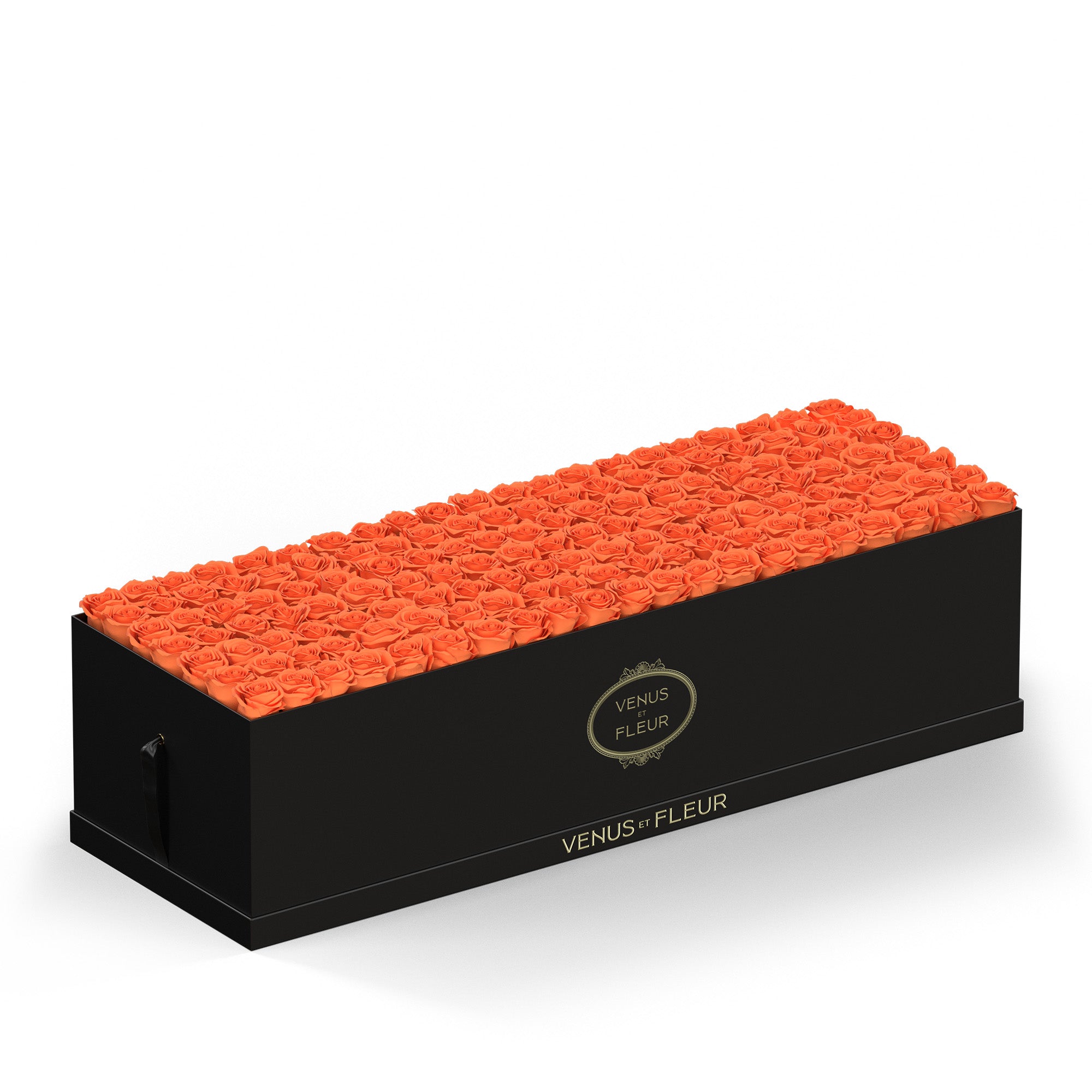 grandiosedevenus-blackclassic-roses-papaya.jpg