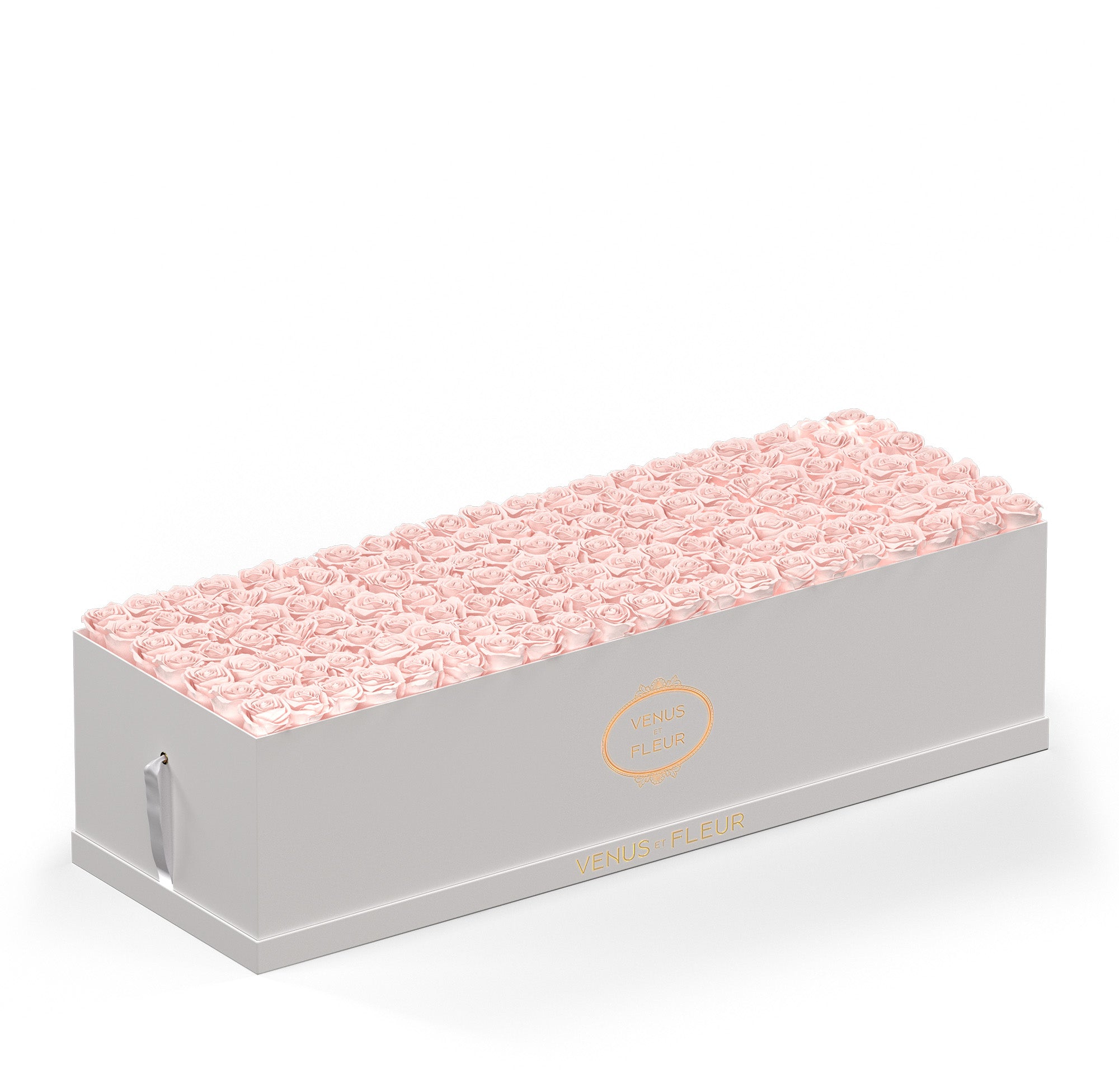 grandiosedevenus-whiteclassic-roses-blush.jpg