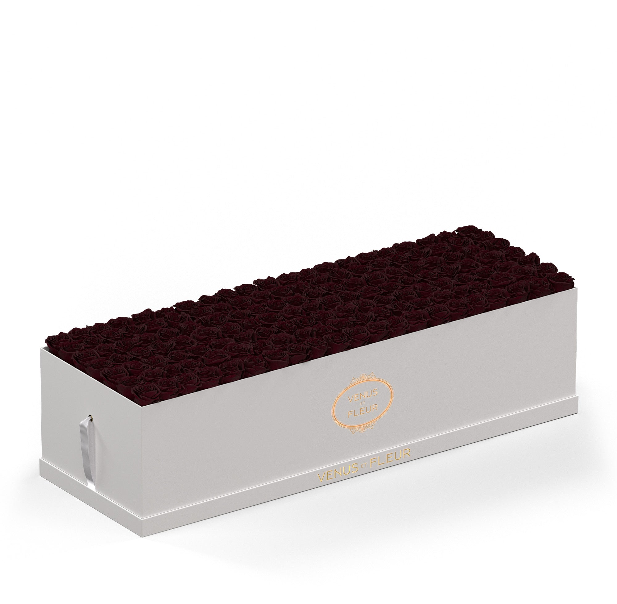 grandiosedevenus-whiteclassic-roses-burgundy.jpg