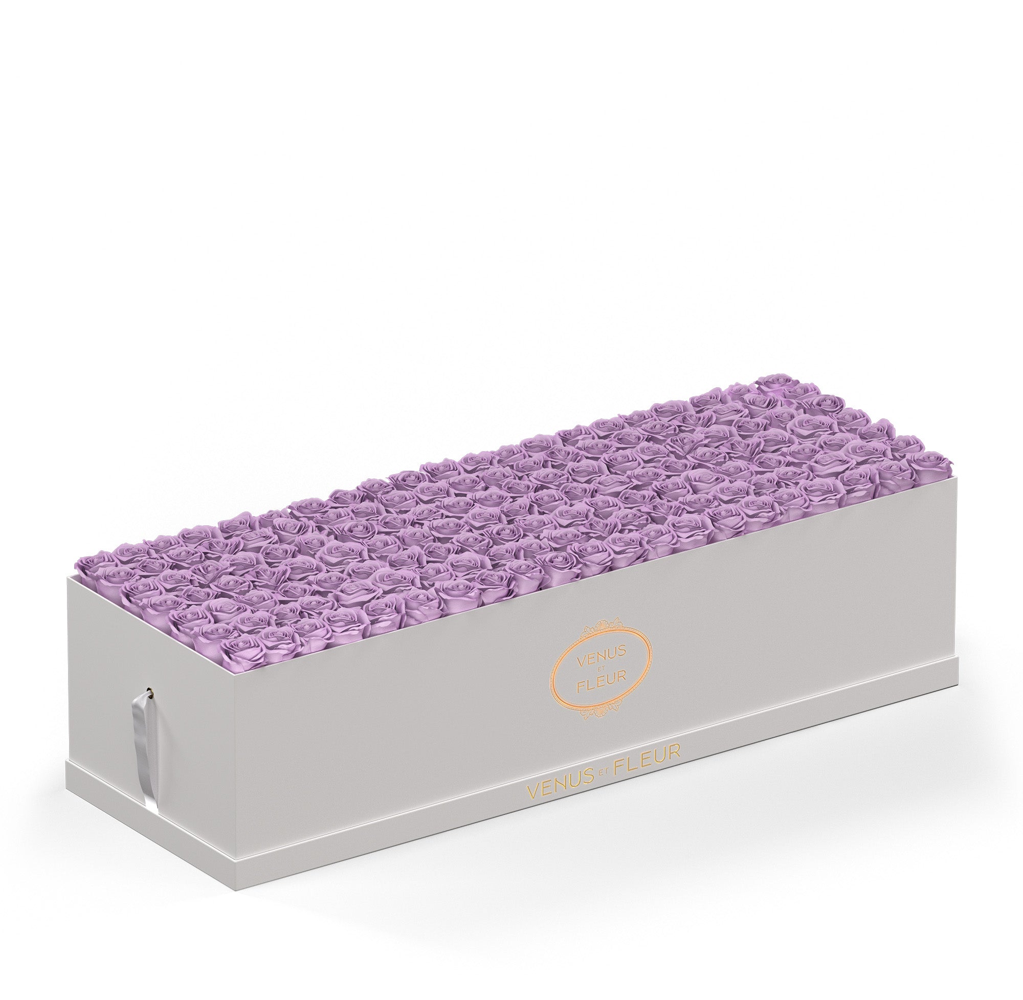 grandiosedevenus-whiteclassic-roses-dustylavender.jpg