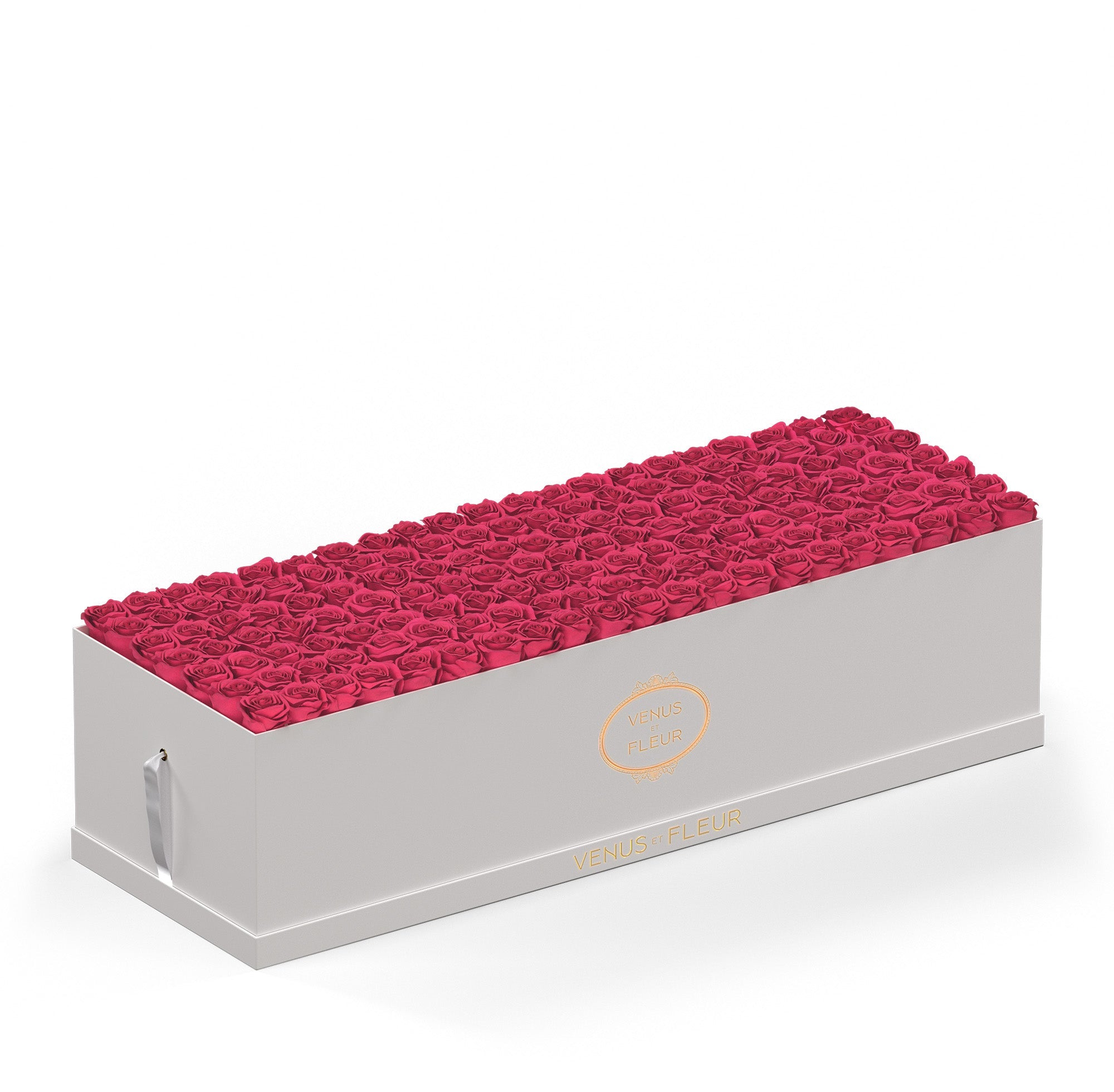 grandiosedevenus-whiteclassic-roses-hotpink.jpg