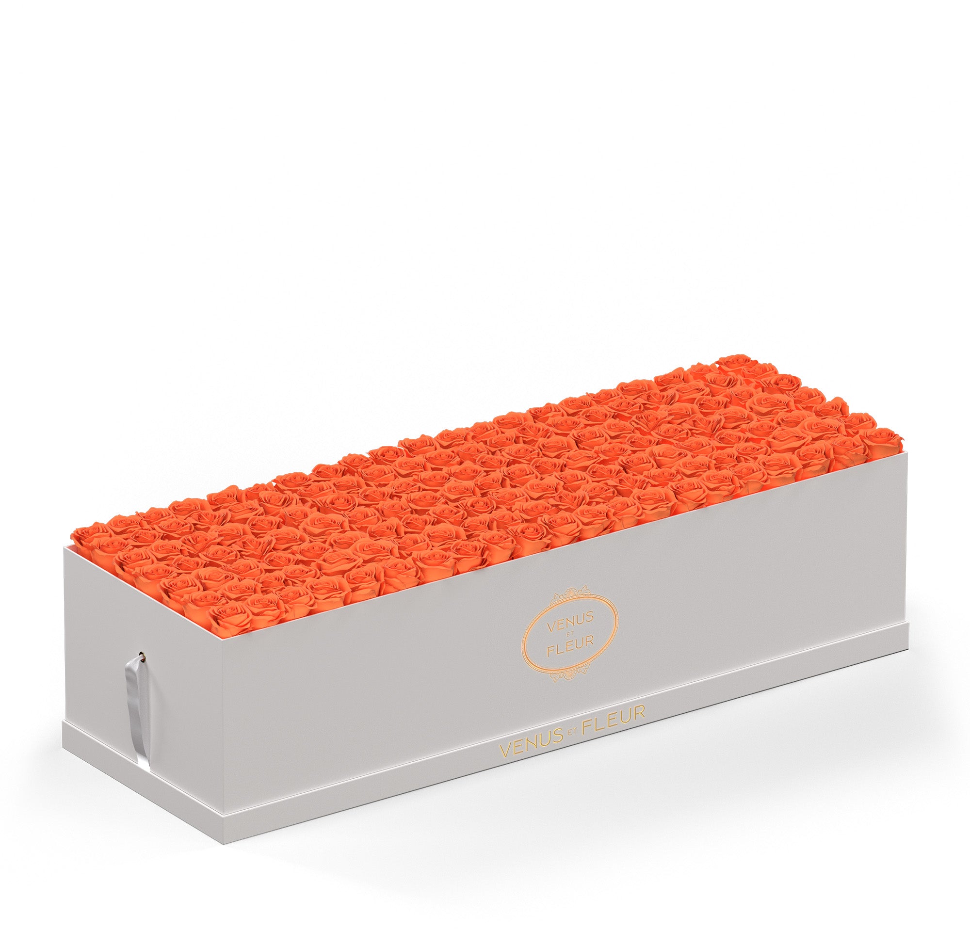 grandiosedevenus-whiteclassic-roses-papaya.jpg