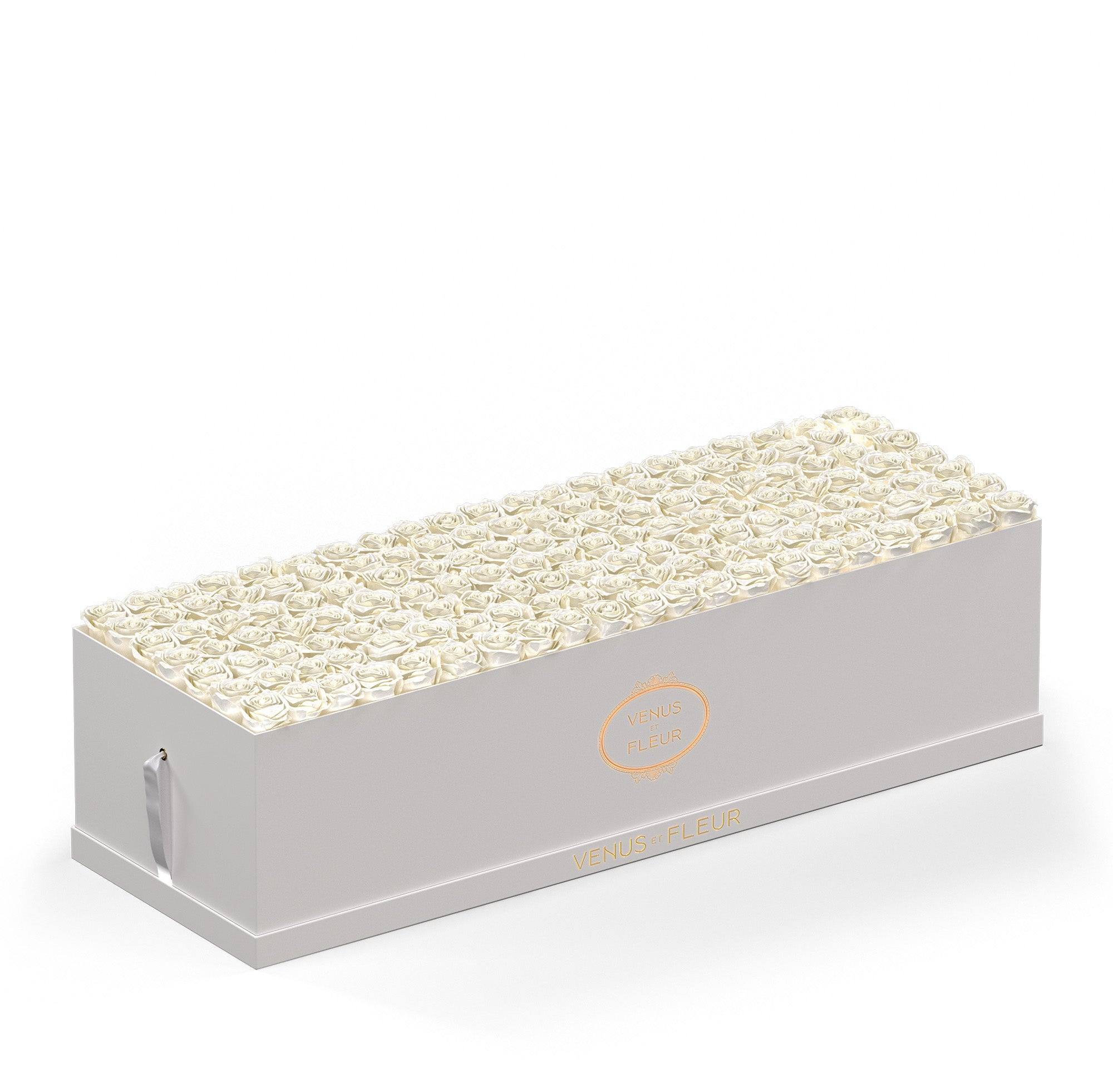 grandiosedevenus-whiteclassic-roses-pearlsheen.jpg