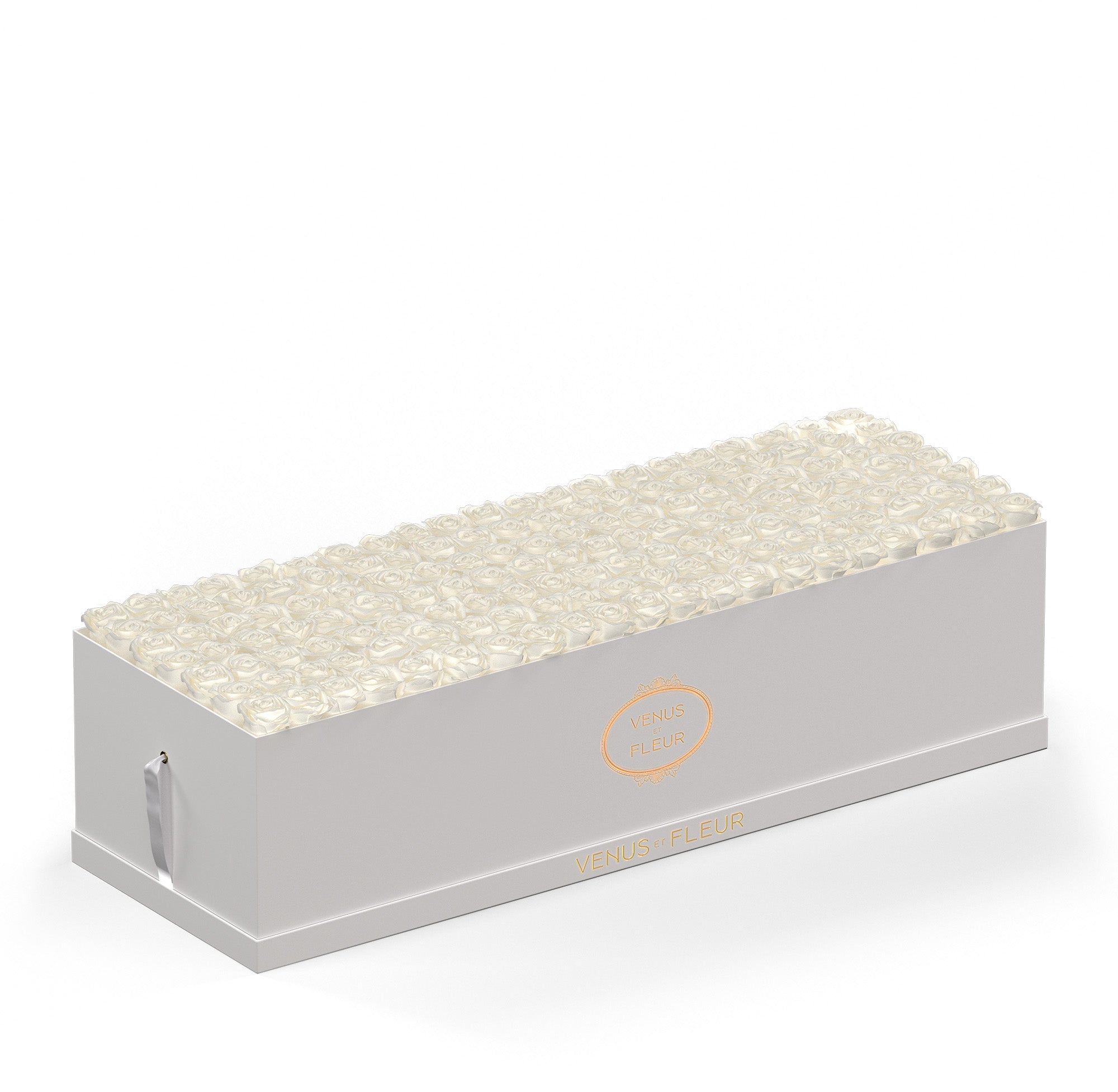 grandiosedevenus-whiteclassic-roses-purewhite.jpg