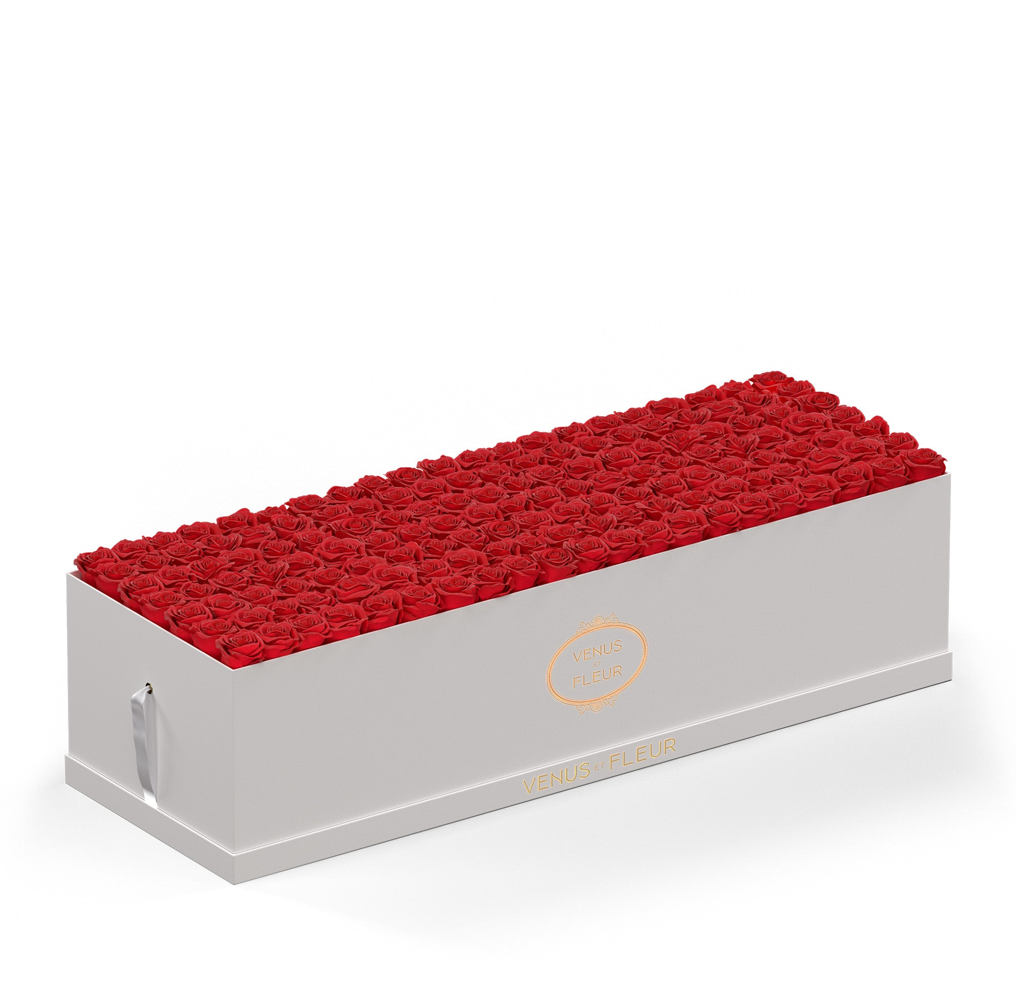 grandiosedevenus-whiteclassic-roses-red.jpg