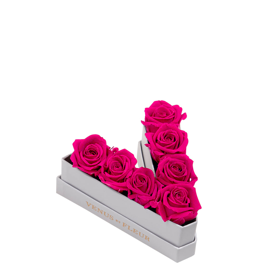hotpink_02501bca-fedf-4990-a79c-a21102bff984.jpg