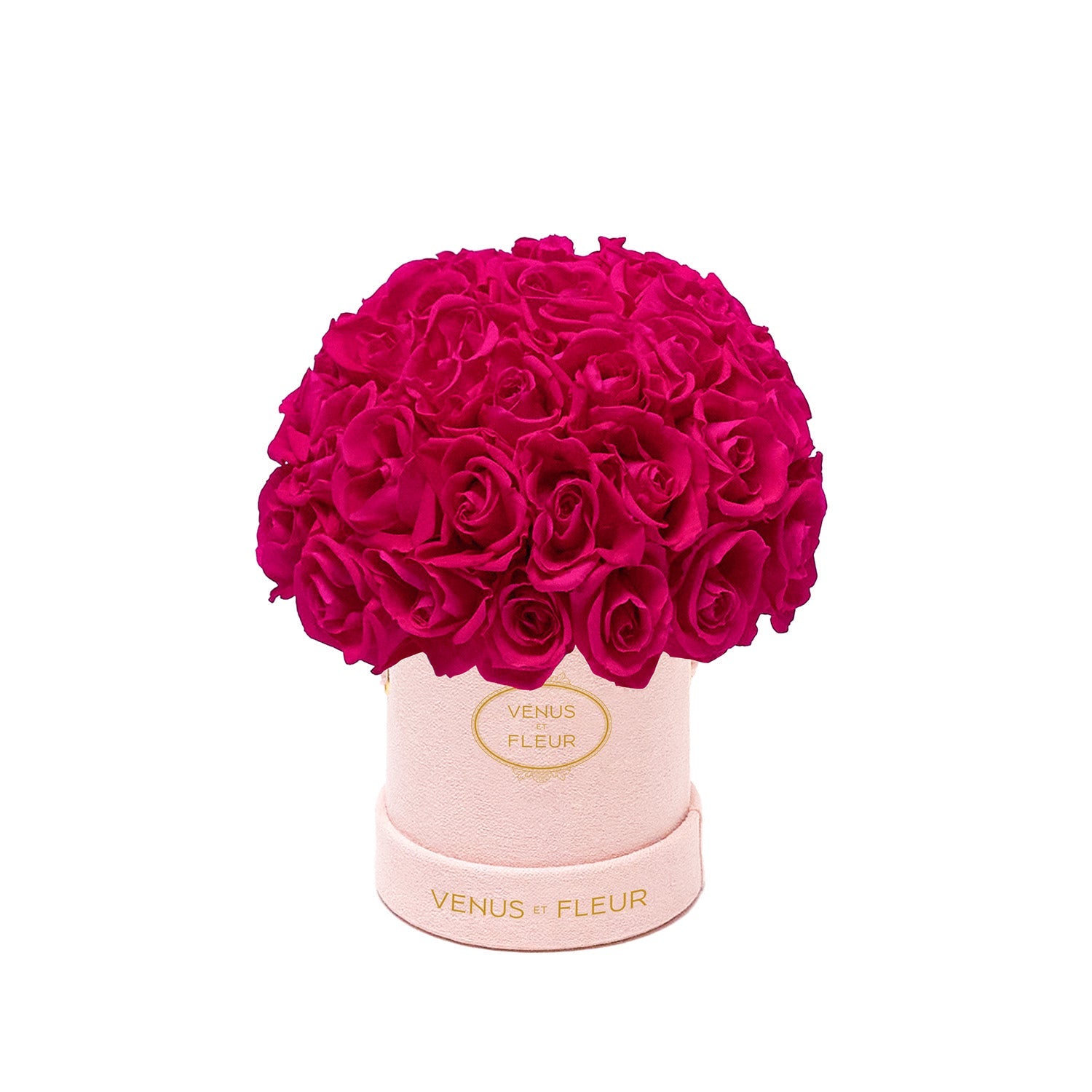 hotpink_23.jpg
