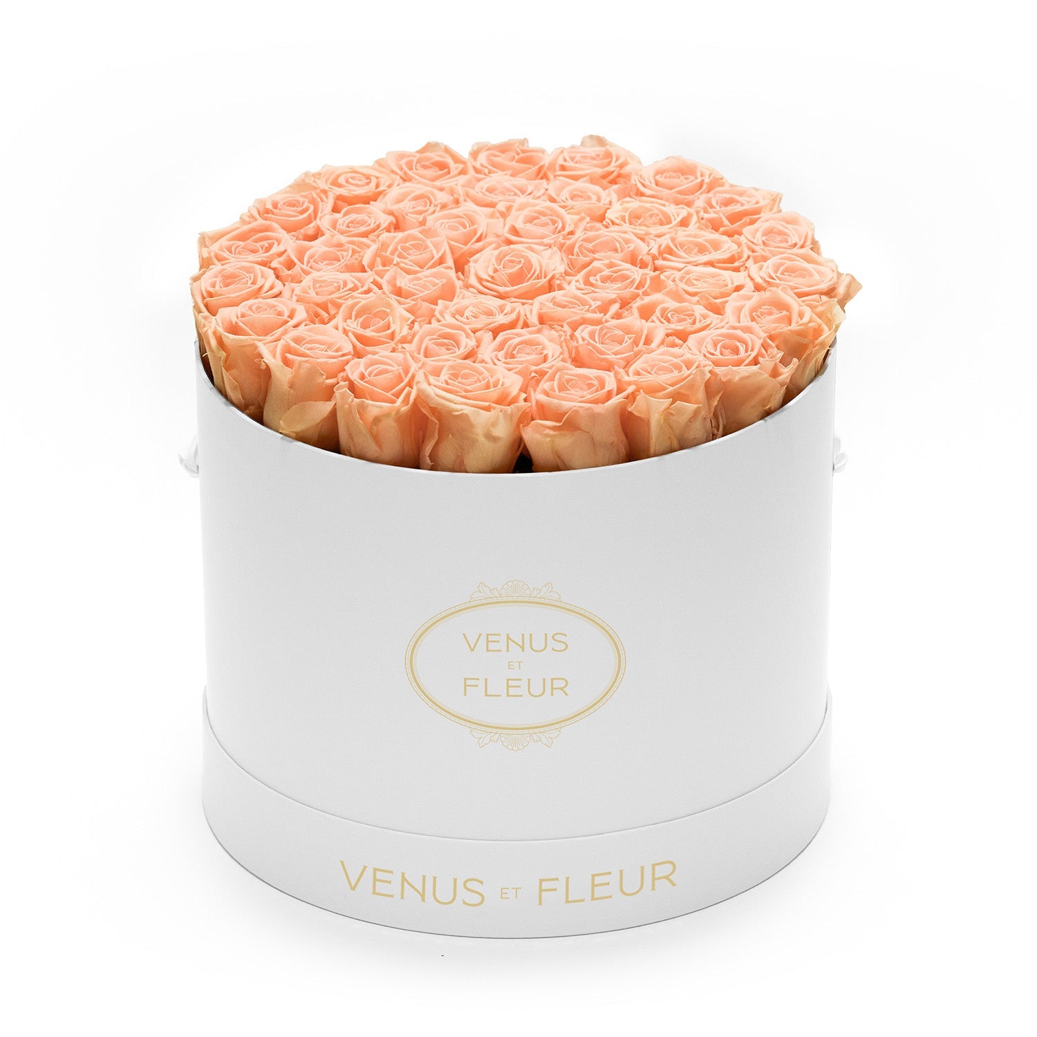 large_round_peachnectar-1.jpg