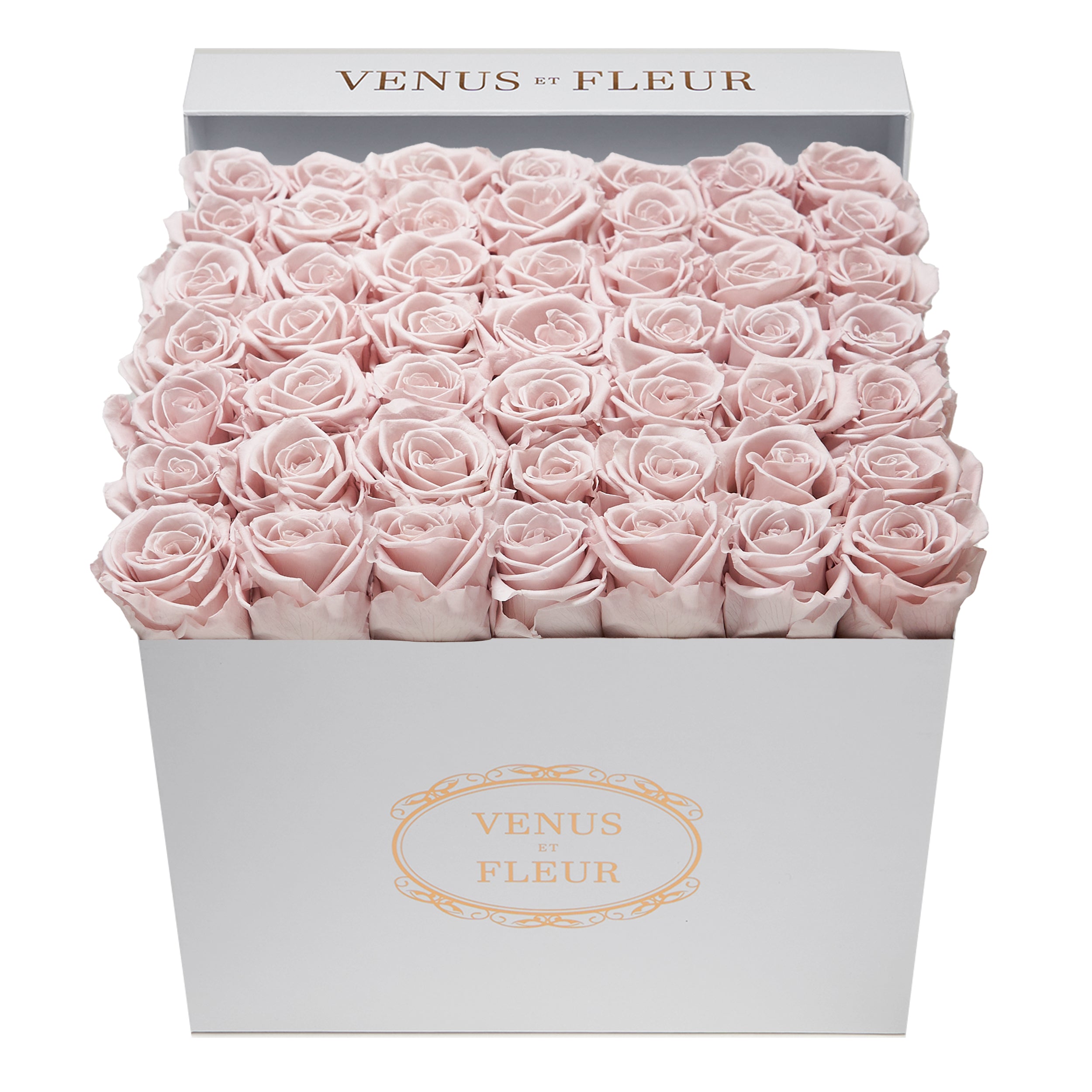large_square_white_classic_dusty_rose-2.jpg