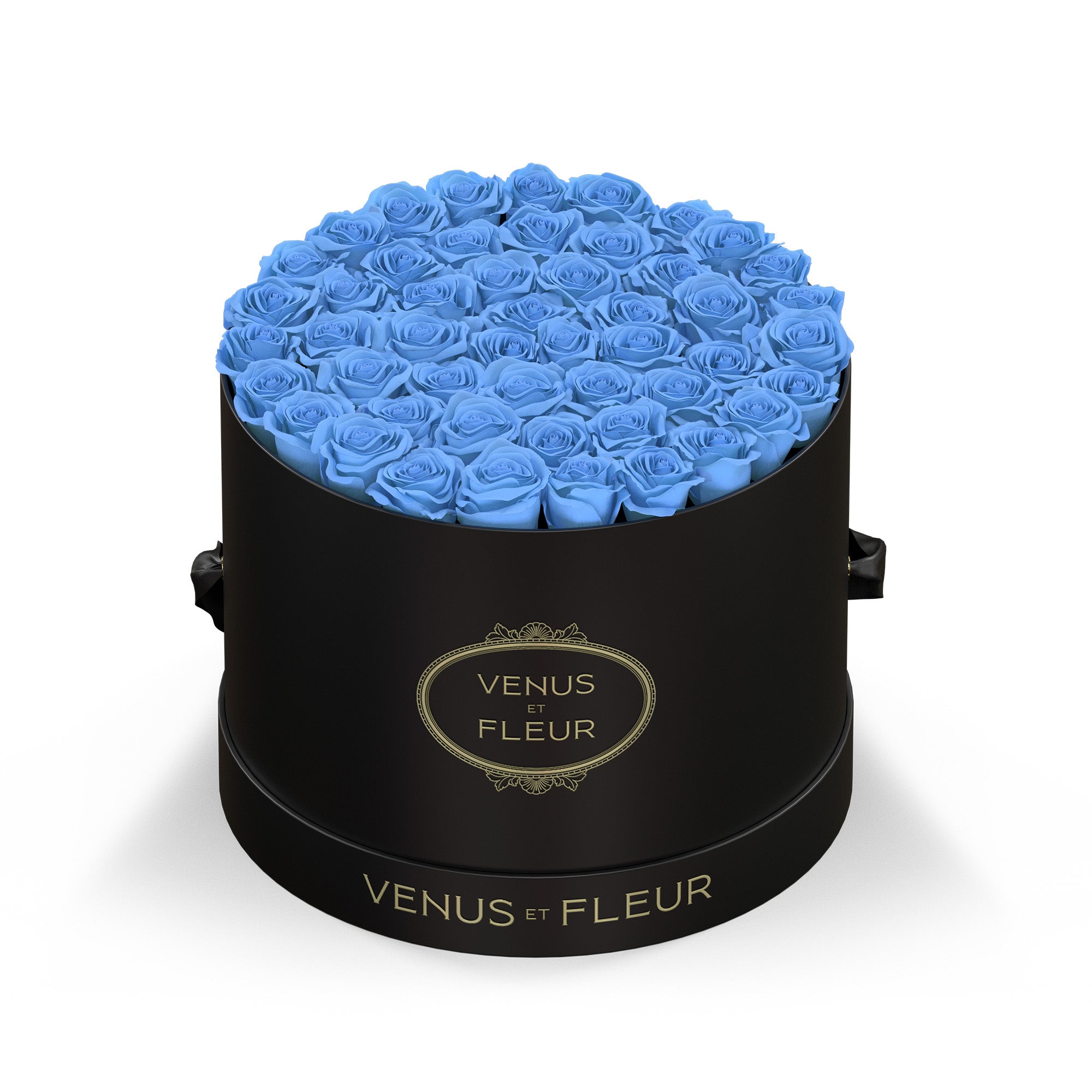 largeround-blackclassic-roses-babyblue.jpg