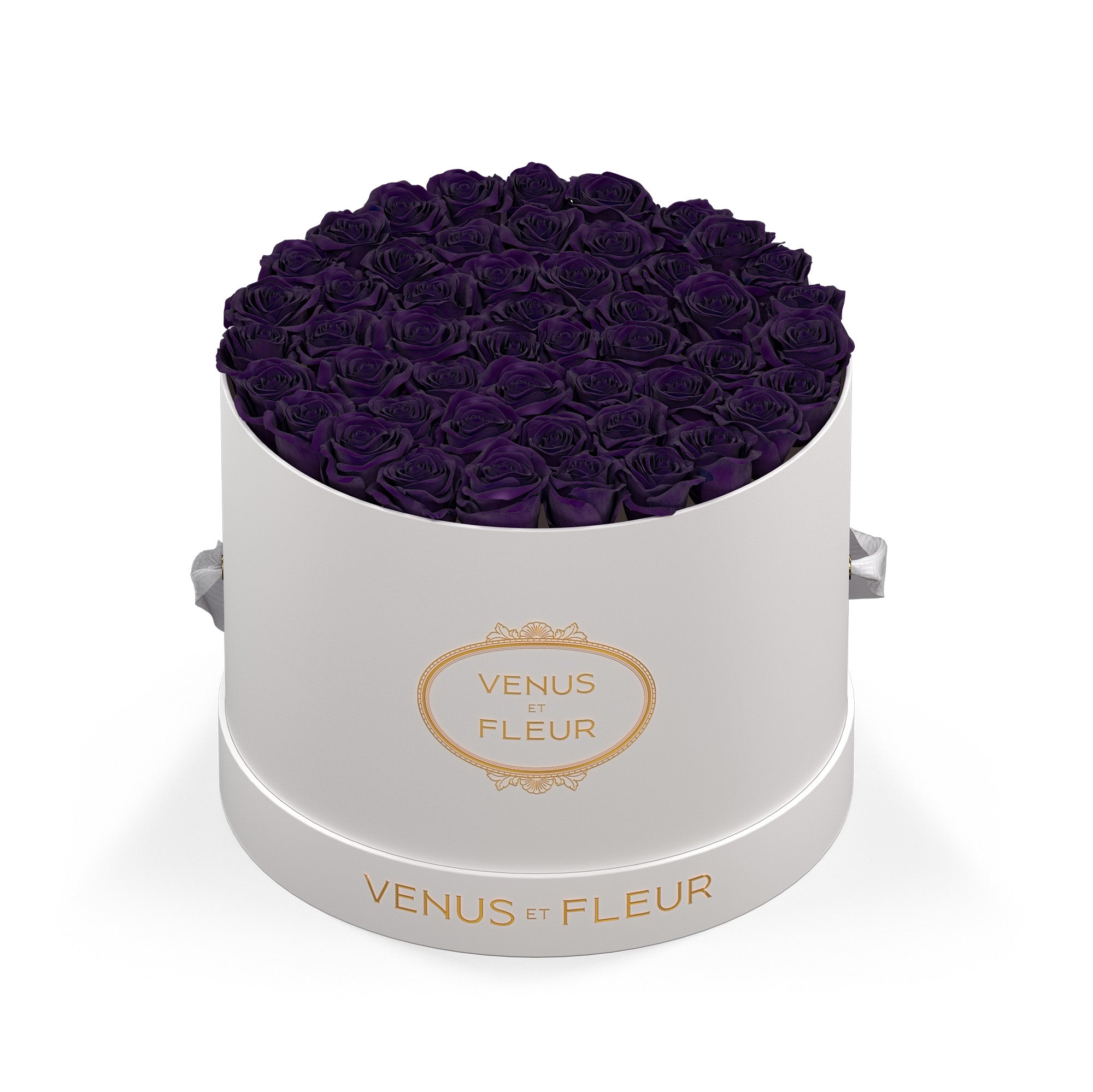 largeround-whiteclassic-roses-deeppurple.jpg