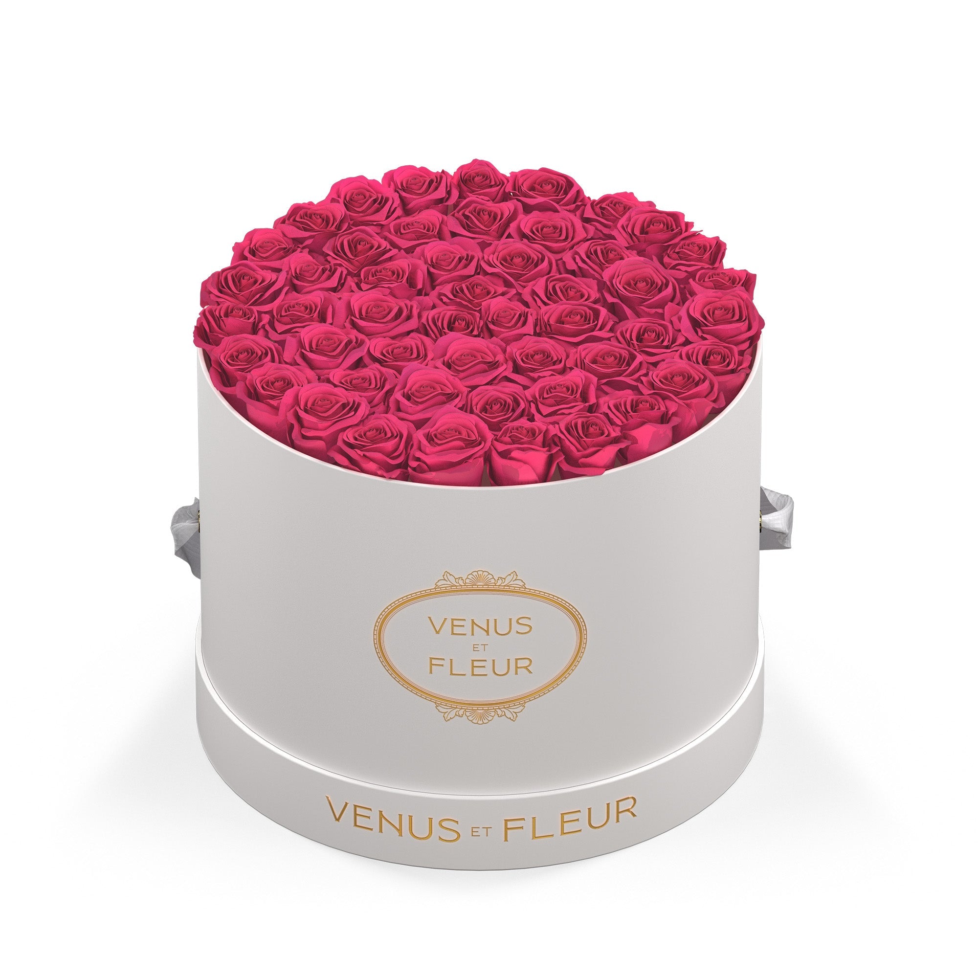 largeround-whiteclassic-roses-hotpink.jpg