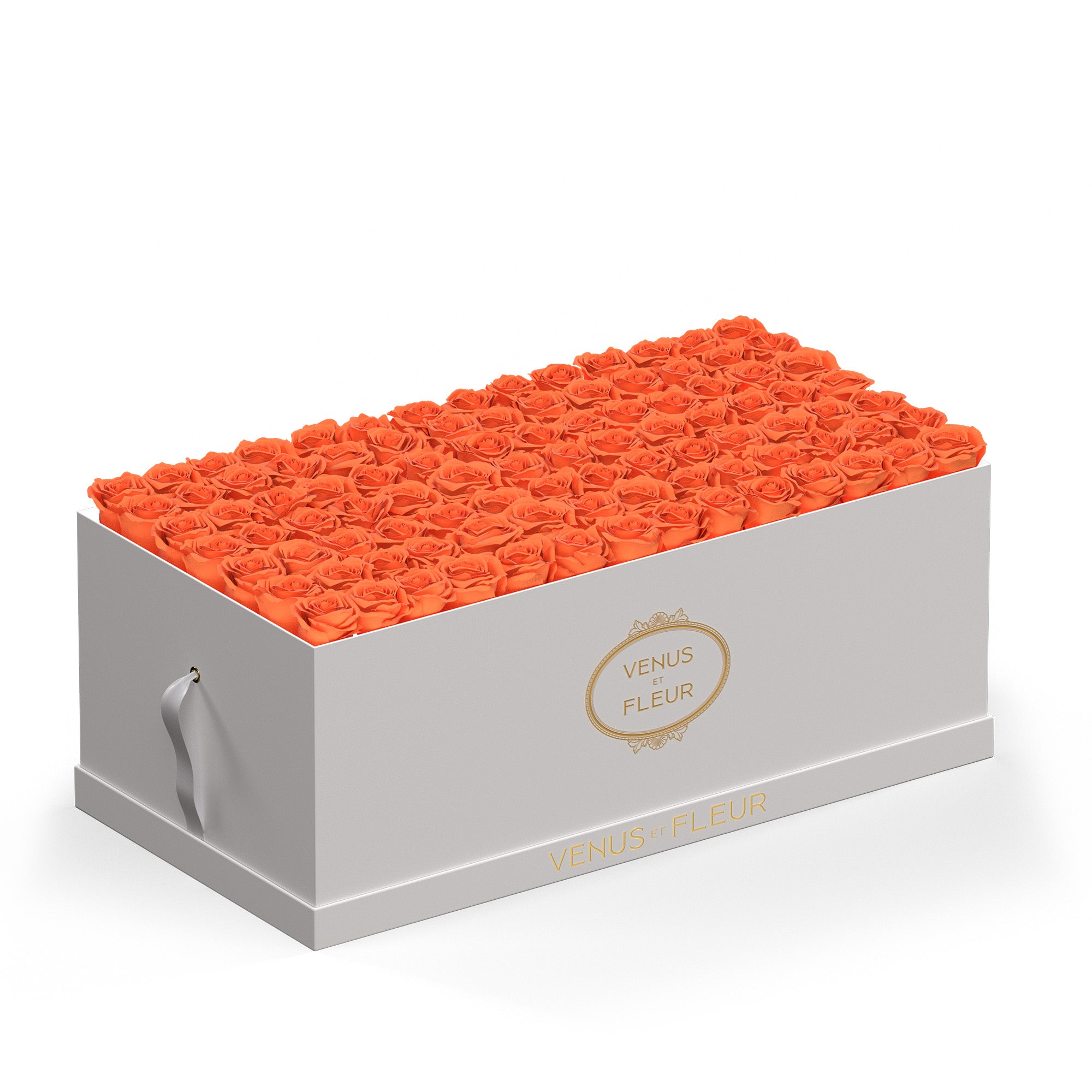 leduomagnifique-whiteclassic-roses-papaya.jpg