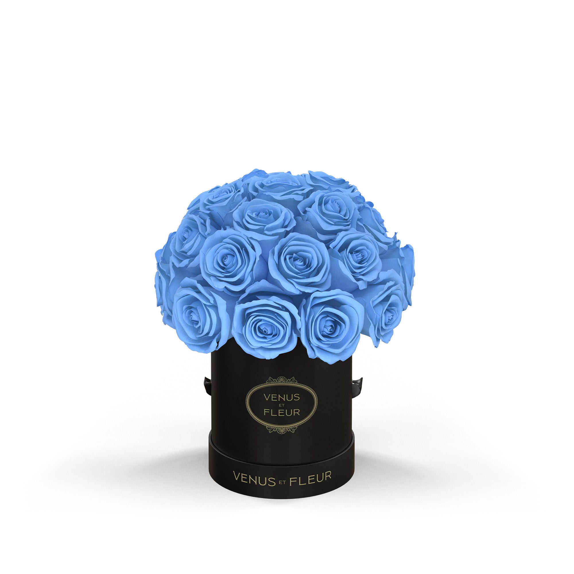 lepleinmini-blackclassic-roses-babyblue.jpg