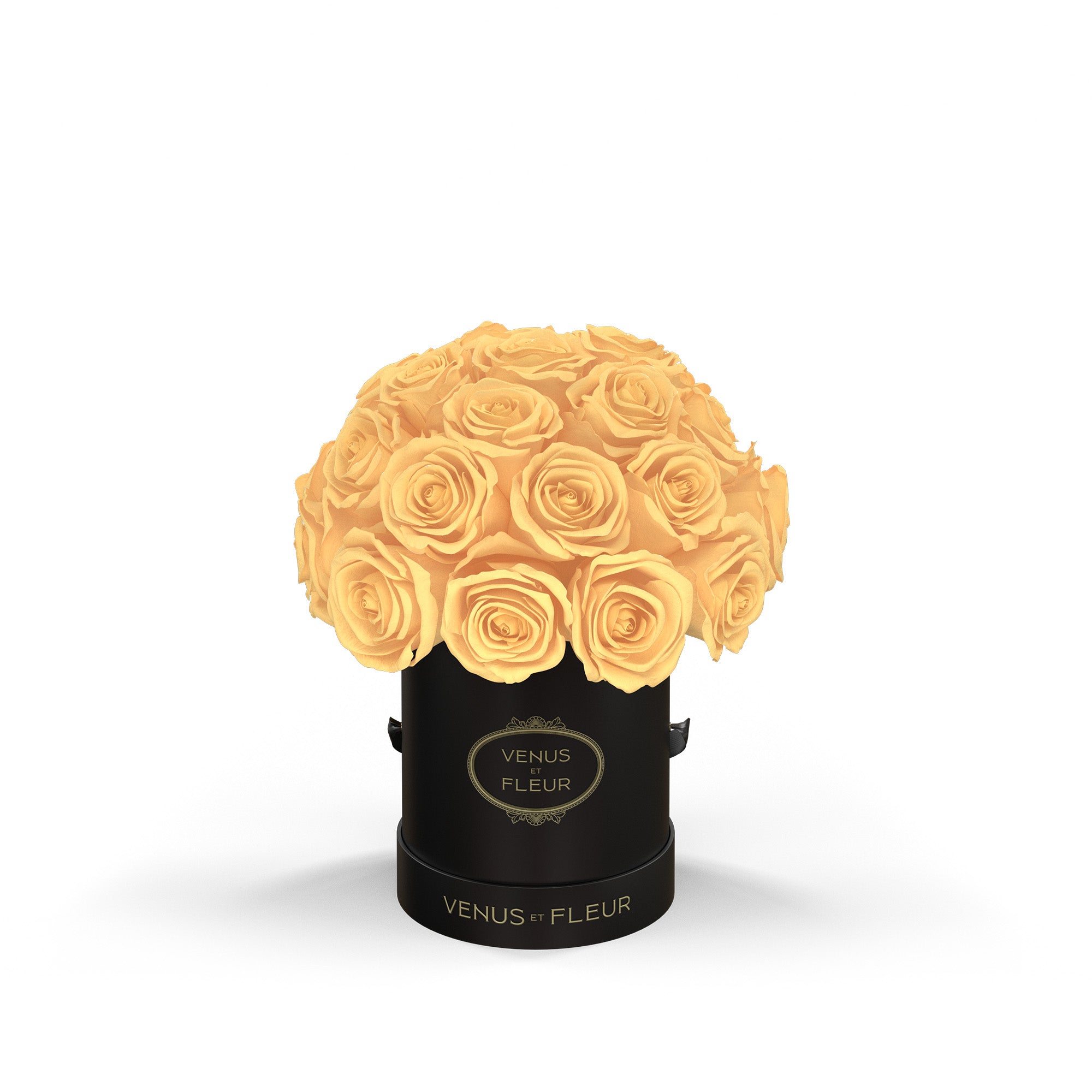 lepleinmini-blackclassic-roses-champagne.jpg
