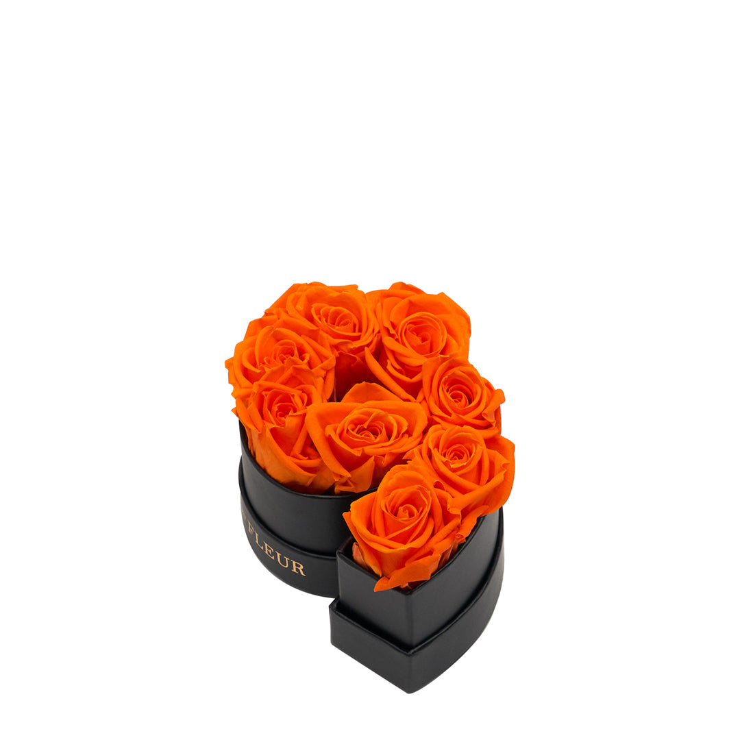 orange_3d28228c-84c4-4ec1-b06f-9a240bcc28f2.jpg