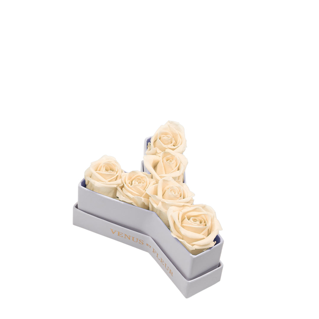 pearl_e5a527d9-8b87-417e-b370-584c7ac6620d.jpg