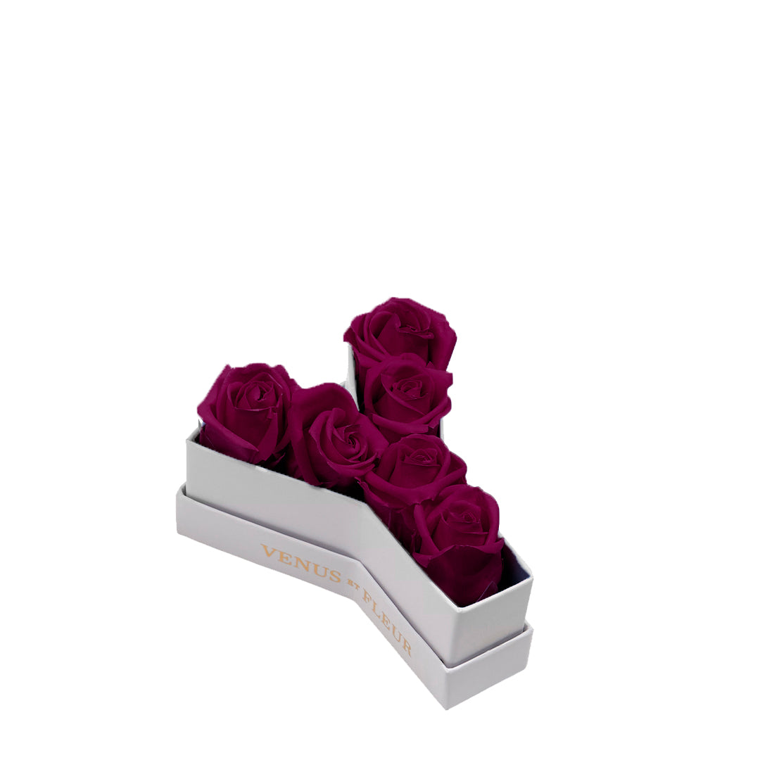 plum_04d16e83-6dac-4df8-a932-771acbef032e.jpg