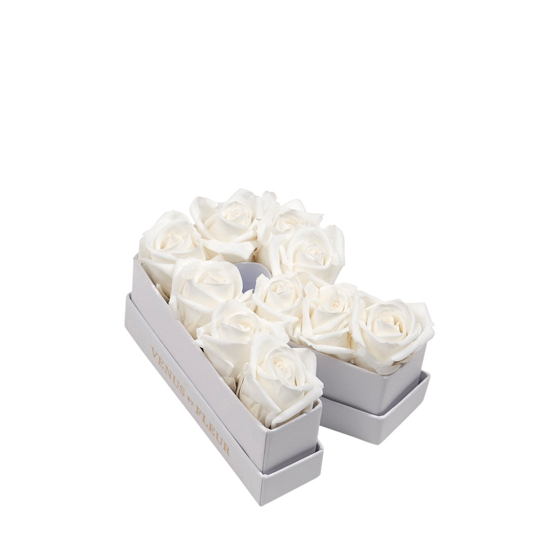 purewhite_0b6146b8-dc26-4832-81c8-94567225dbe1.jpg