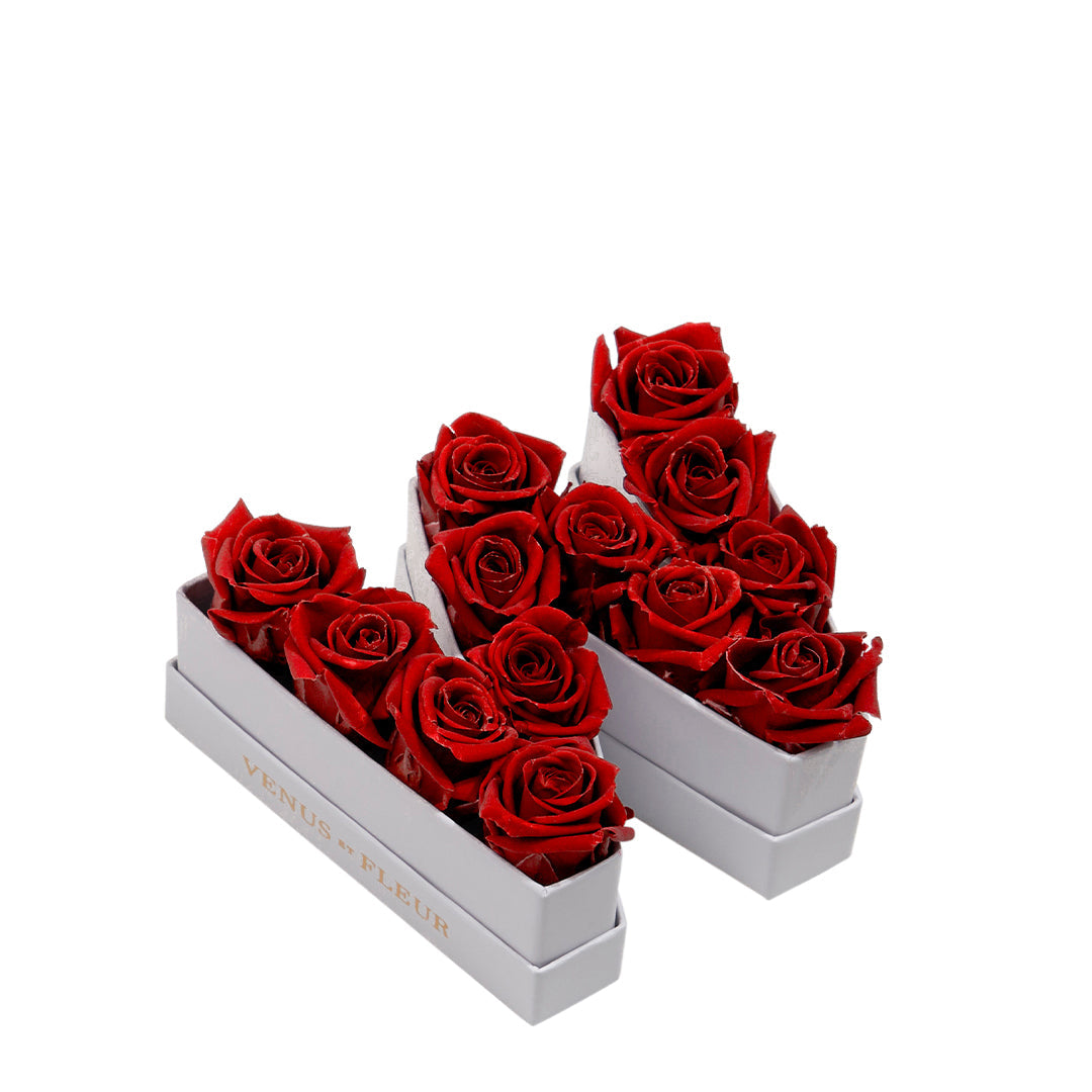 red2_15d8d1bc-f754-4e9a-8e64-d33788d0351a.jpg