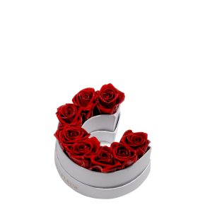 Le Mini Letter – C
