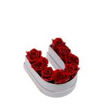 Le Mini Letter – U