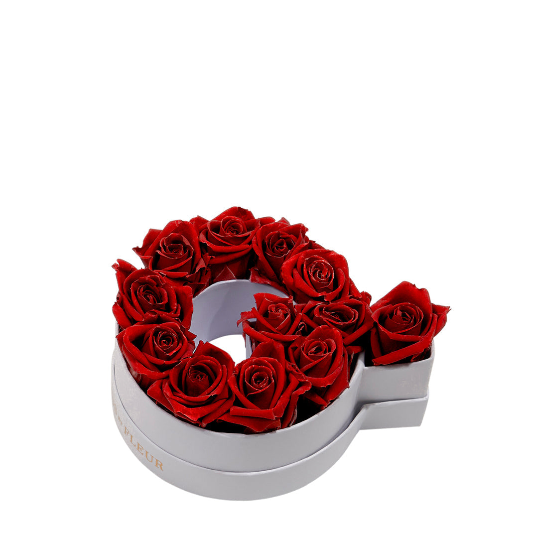 red2_9b4235c5-6cc8-4306-8f86-c9639c234200.jpg
