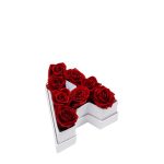 Le Mini Letter – A