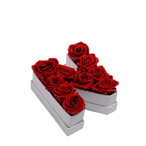 Le Mini Letter – N