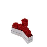 Le Mini Letter – Y