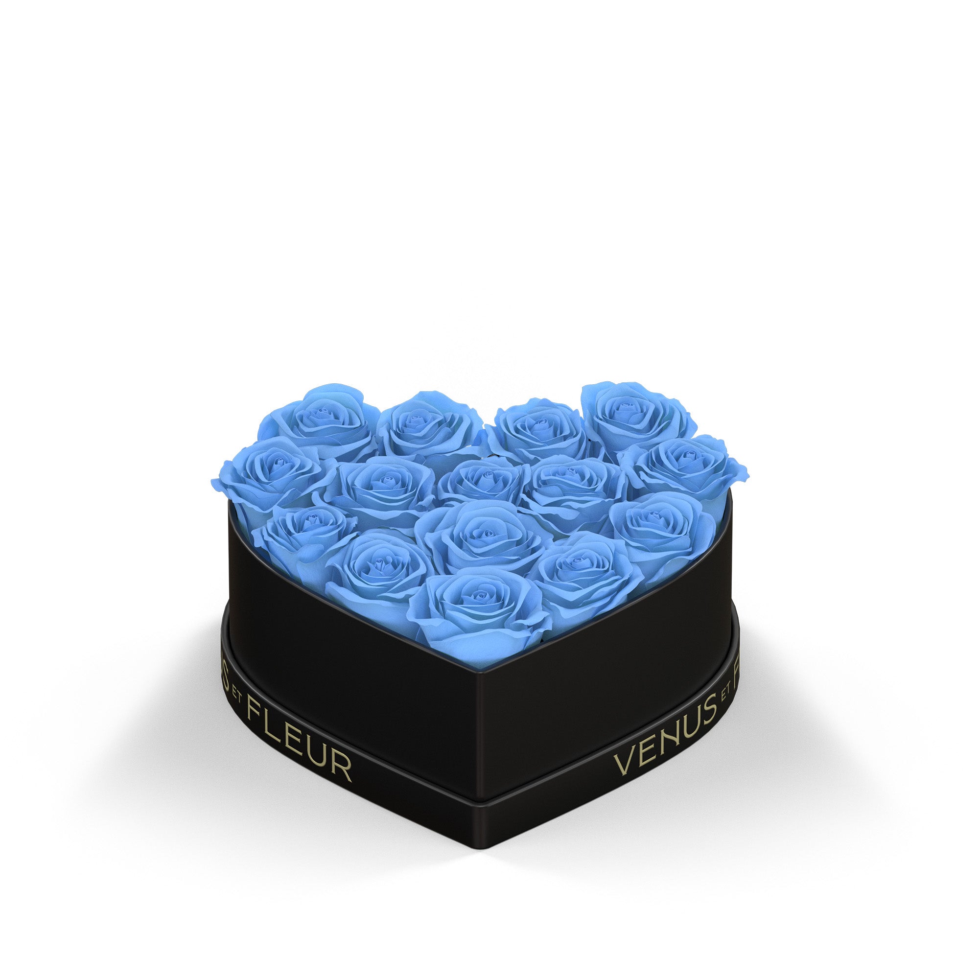 smallheart-blackclassic-roses-babyblue.jpg
