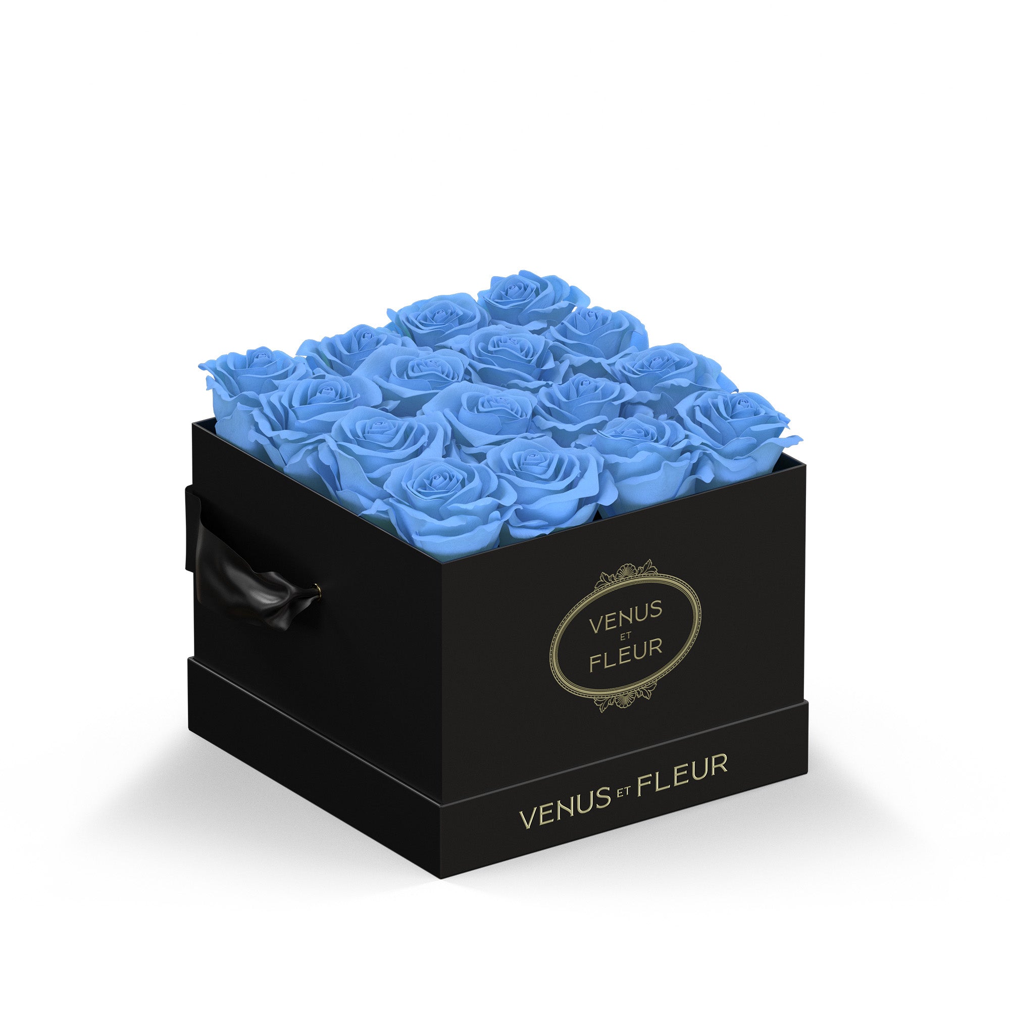 smallsquare-blackclassic-roses-babyblue.jpg