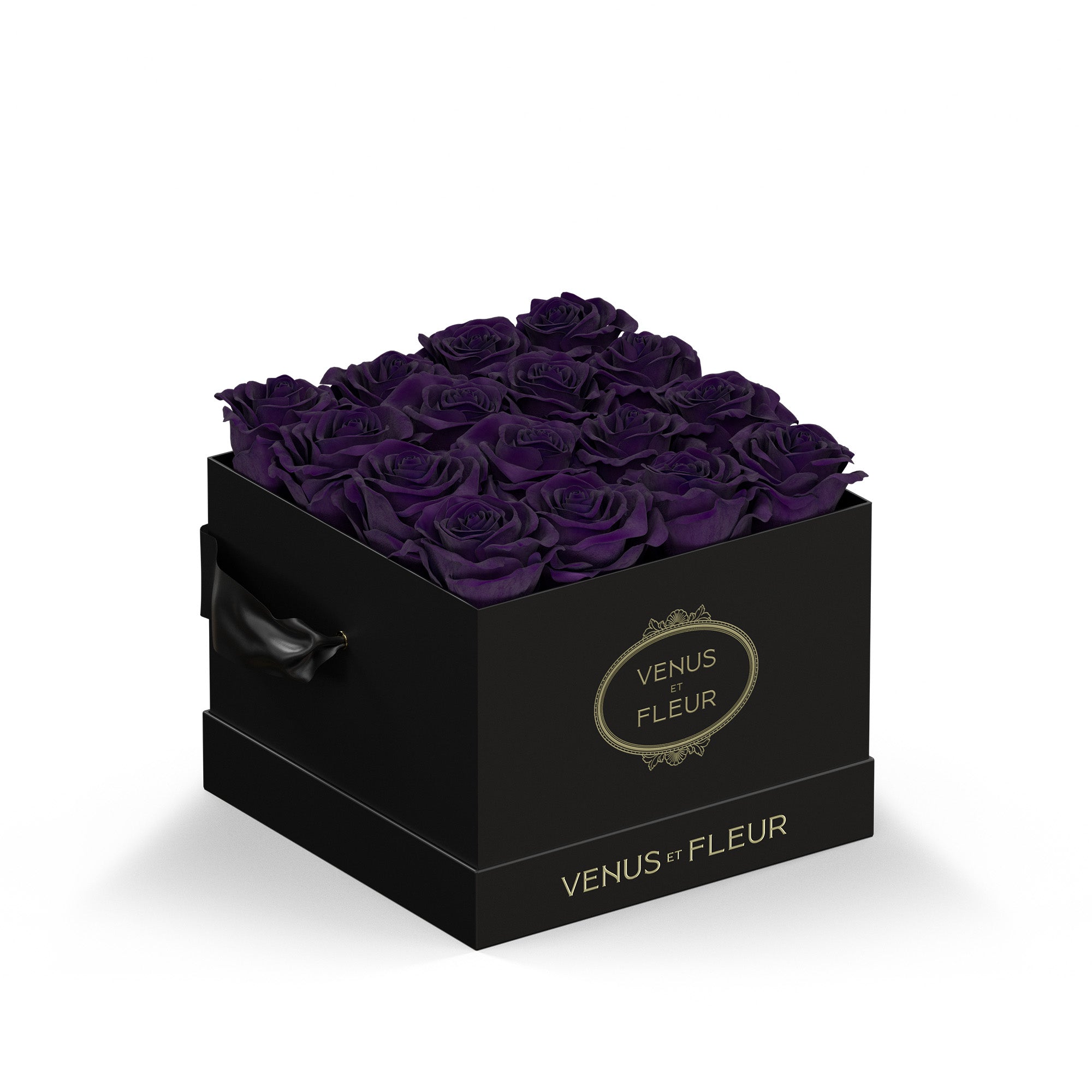 smallsquare-blackclassic-roses-deeppurple.jpg