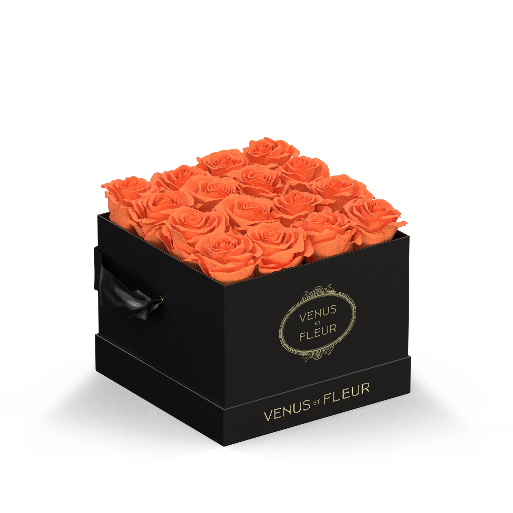 smallsquare-blackclassic-roses-papaya.jpg