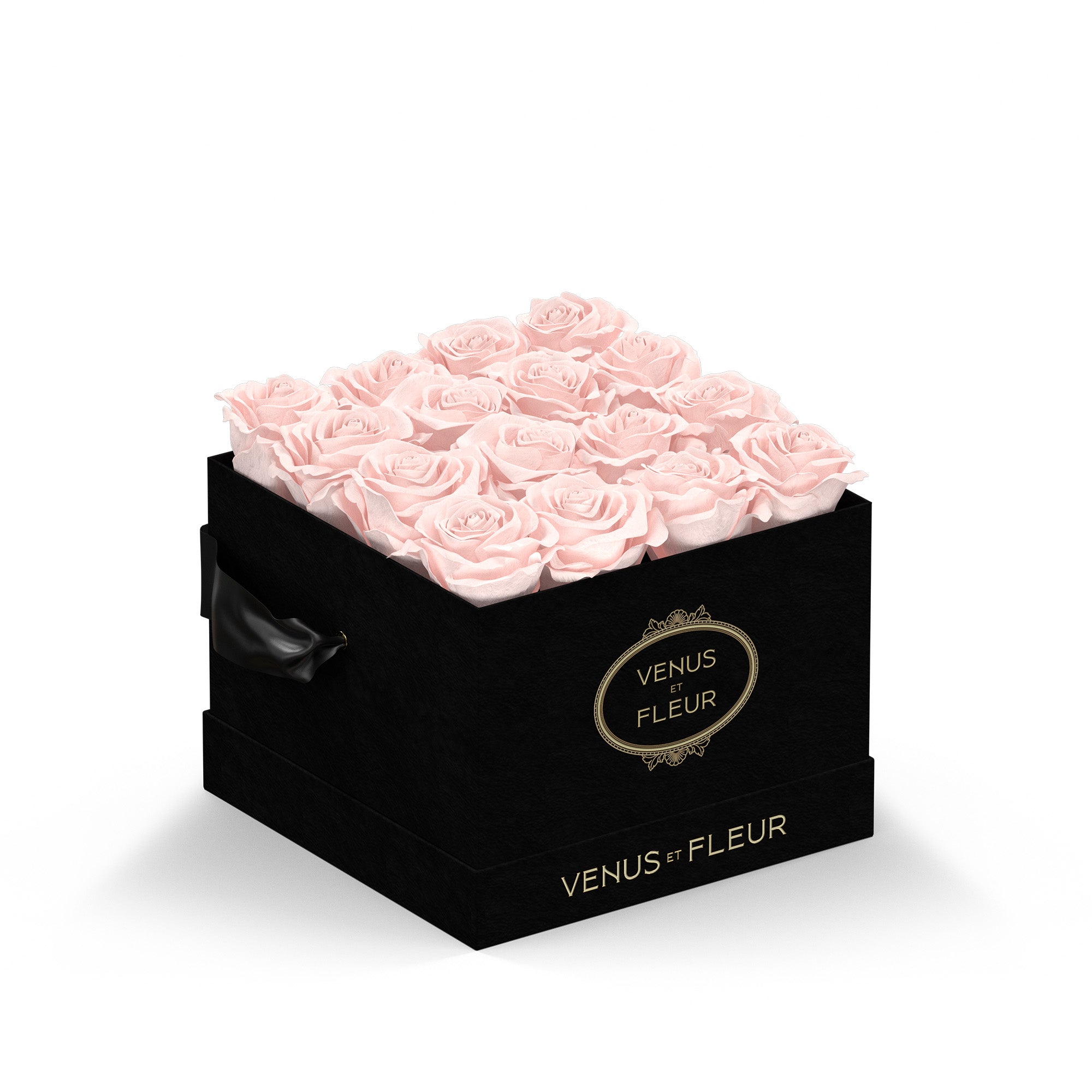 smallsquare-blacksuede-roses-blush.jpg