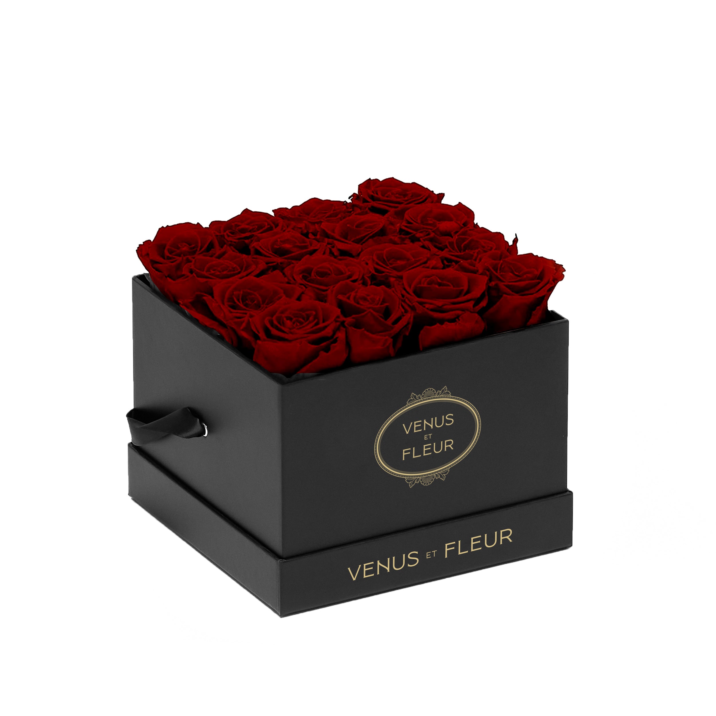 smallsquare_blackclassic_burgundy.jpg