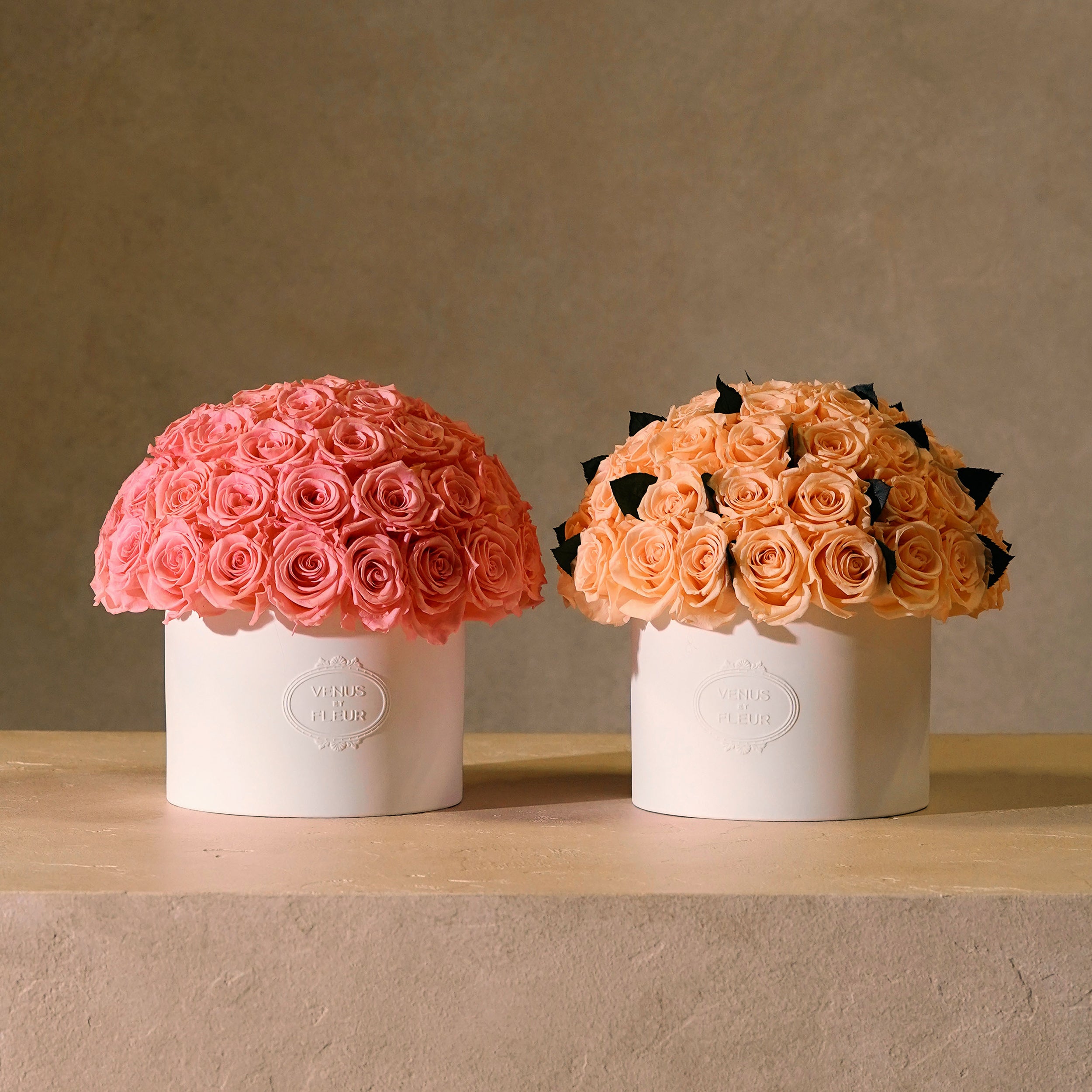 spring_color8186.jpg