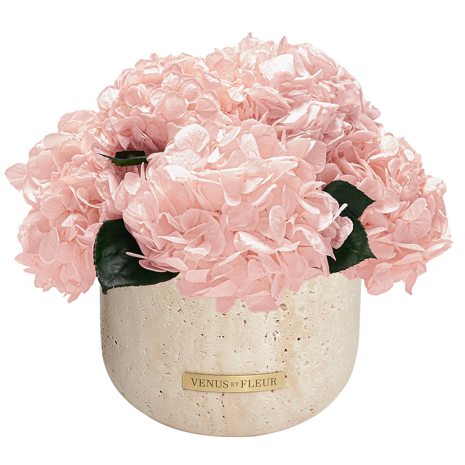 swatch_terrehydrangea.jpg