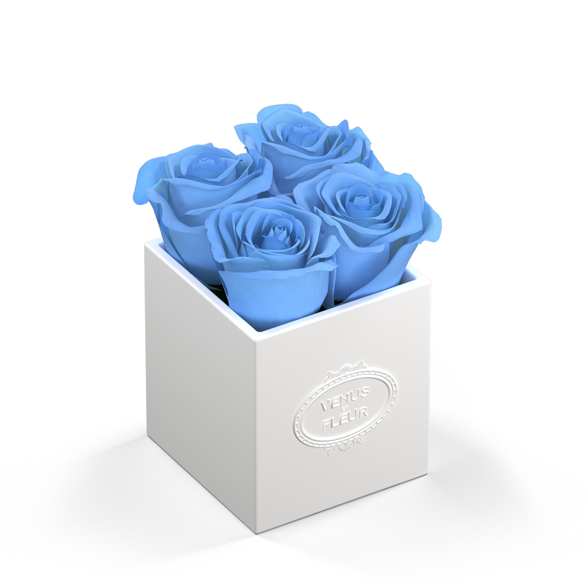 sylvie-porcelain-roses-babyblue-1.jpg